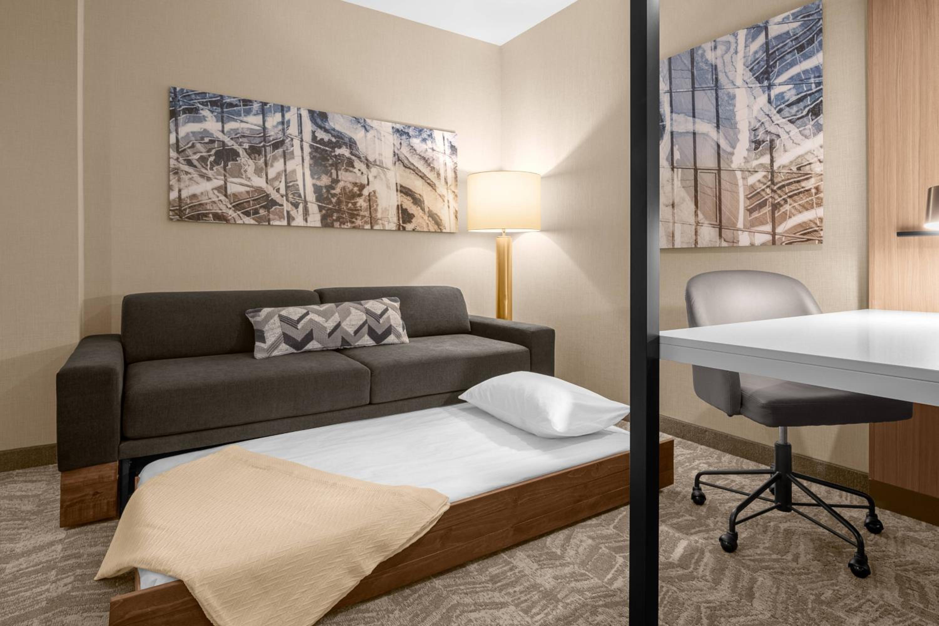 King Suite with Bathtub and Trundle Sofa - Mobility Access - Photo 3
