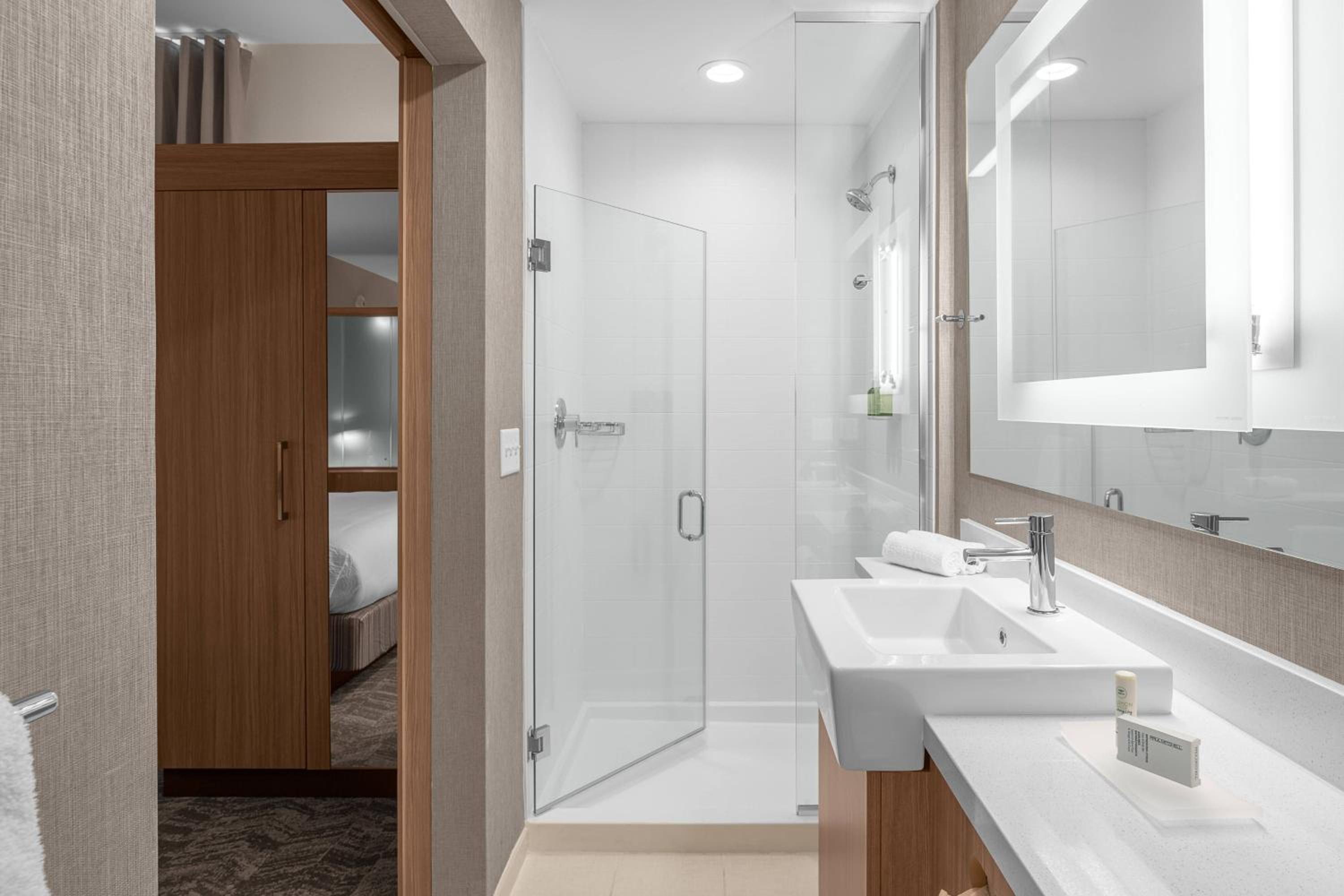 King Suite with Bathtub and Trundle Sofa - Mobility Access - Photo 5