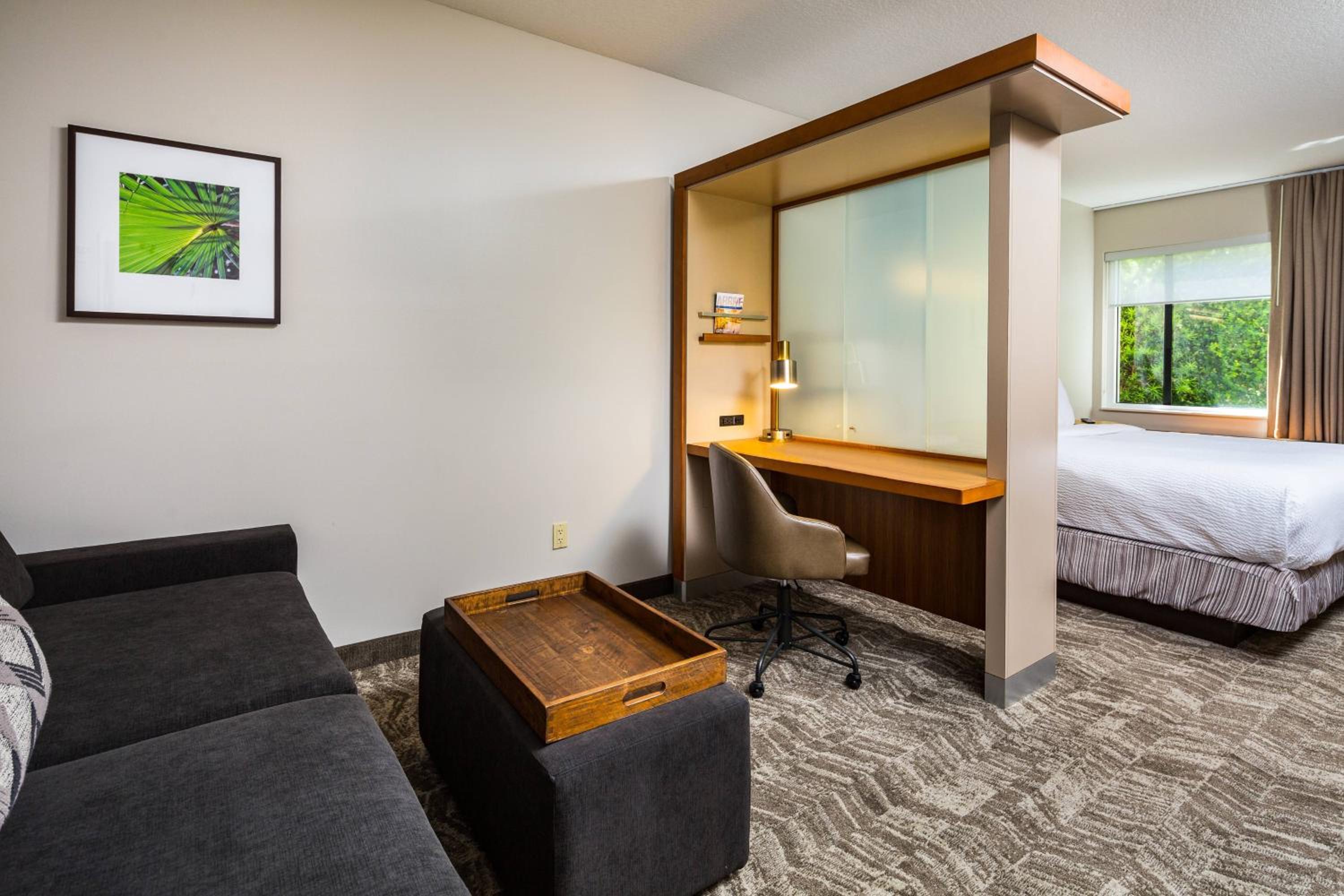King Suite with Trundle Sofa - Photo 2