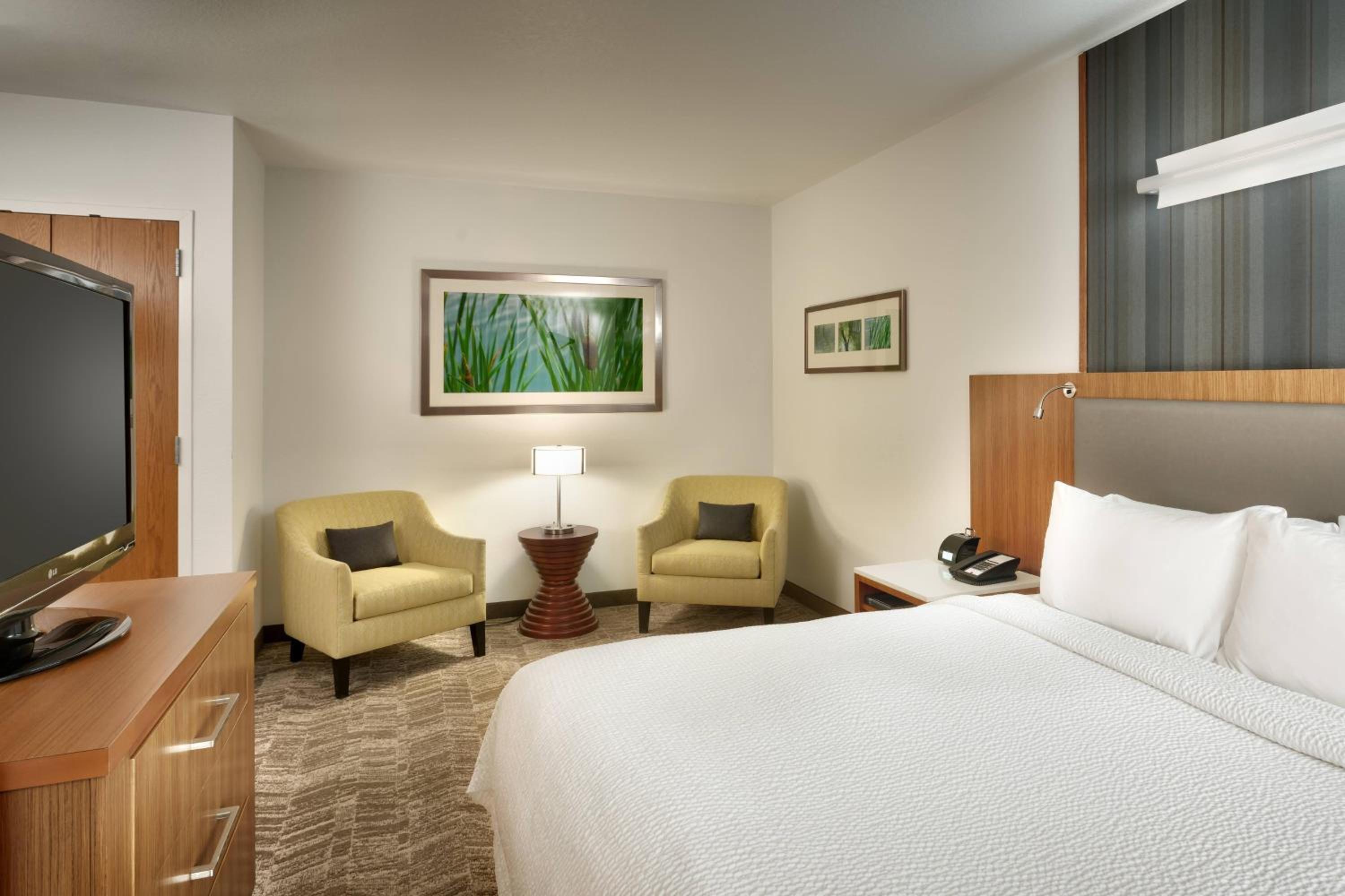 One-Bedroom King Suite with Sofa Bed - Photo 3