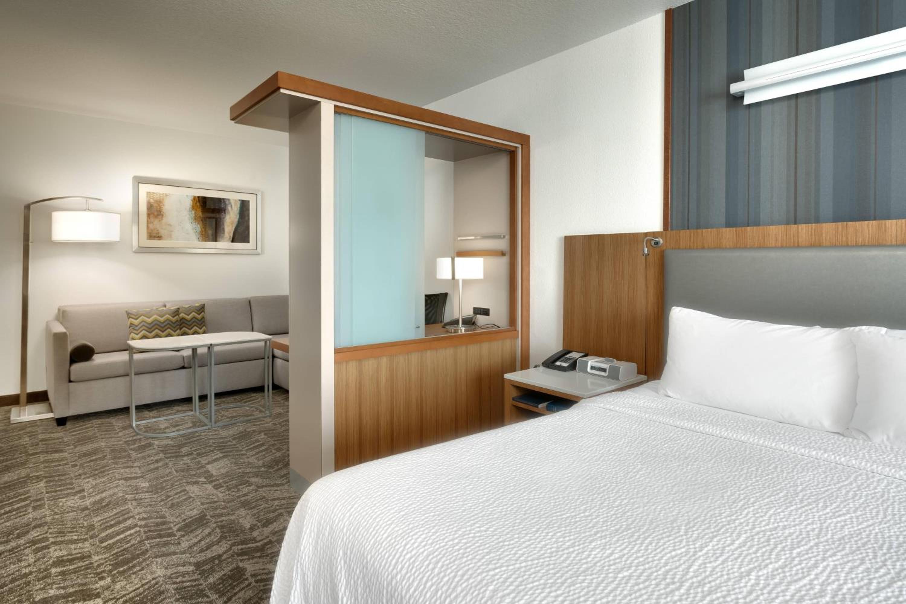 King Suite with Sofa Bed - Photo 1