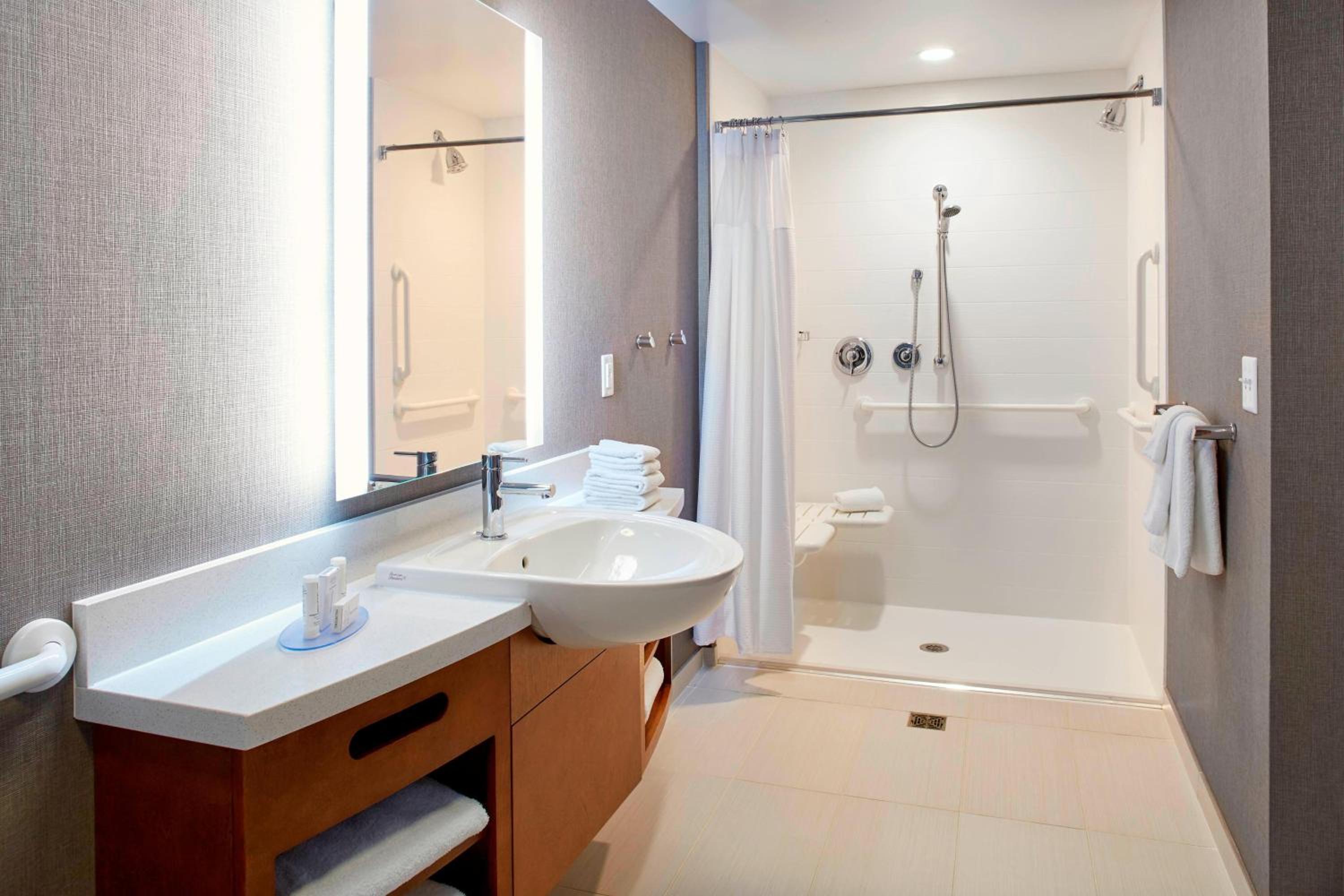 King Suite with Sofa Bed