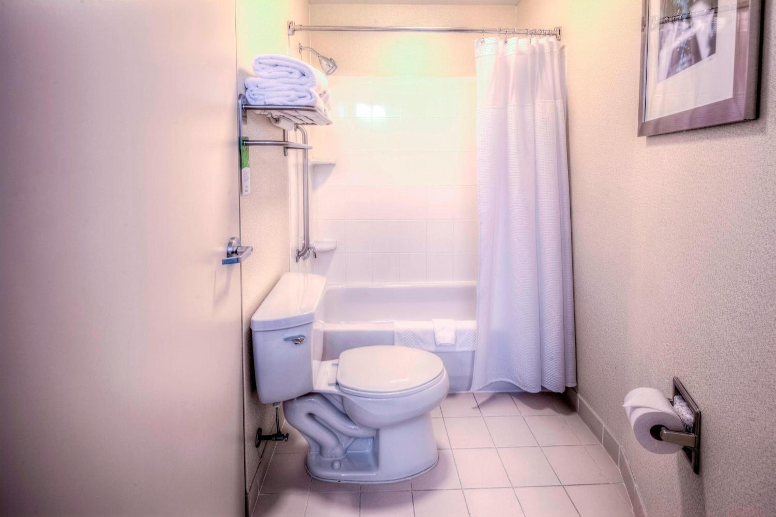 King Suite with Bathtub and Trundle Sofa - Mobility Access/Hearing Accessible - Photo 5