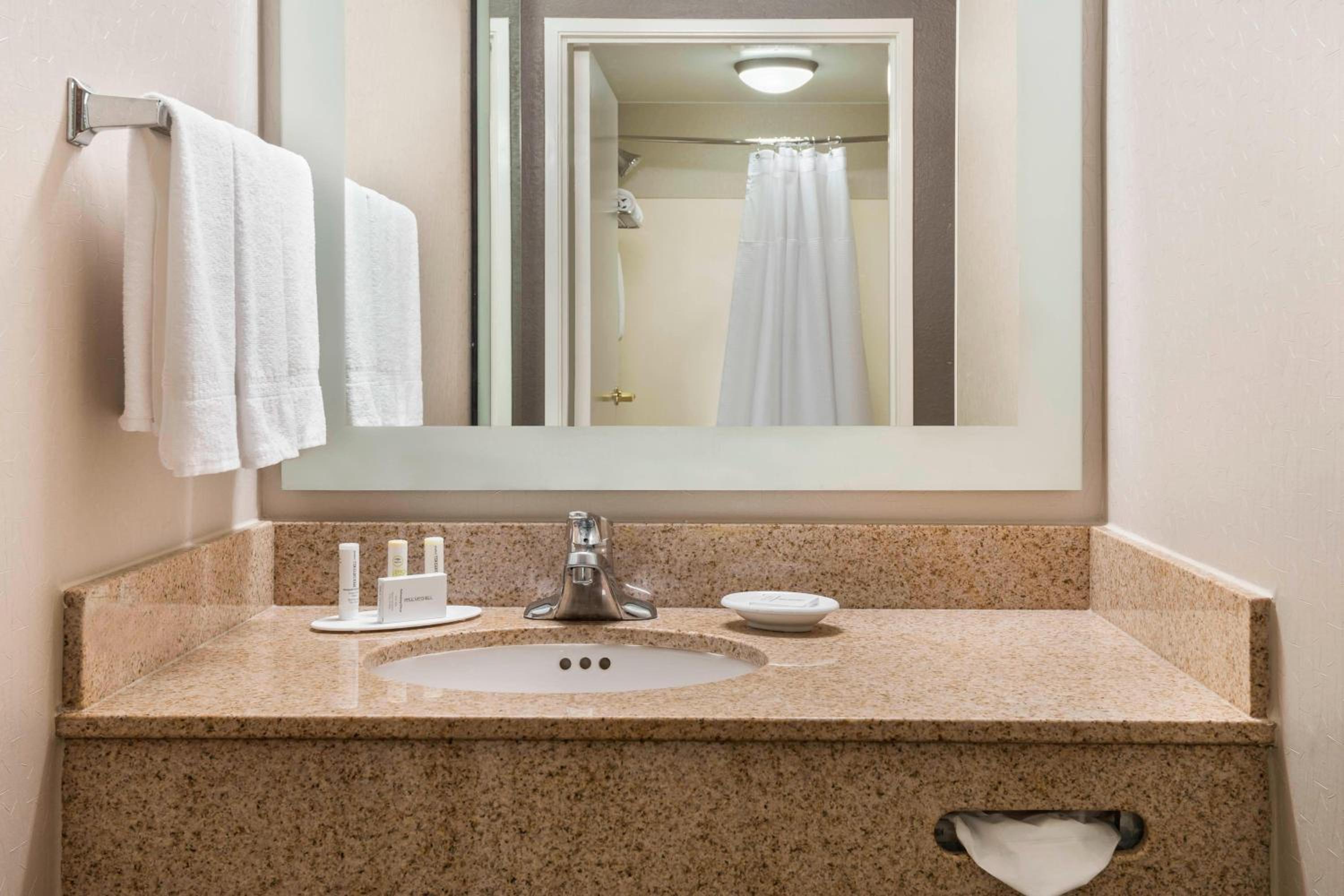 Suite with Roll-in Shower - Mobility and Hearing Accessible photo 3