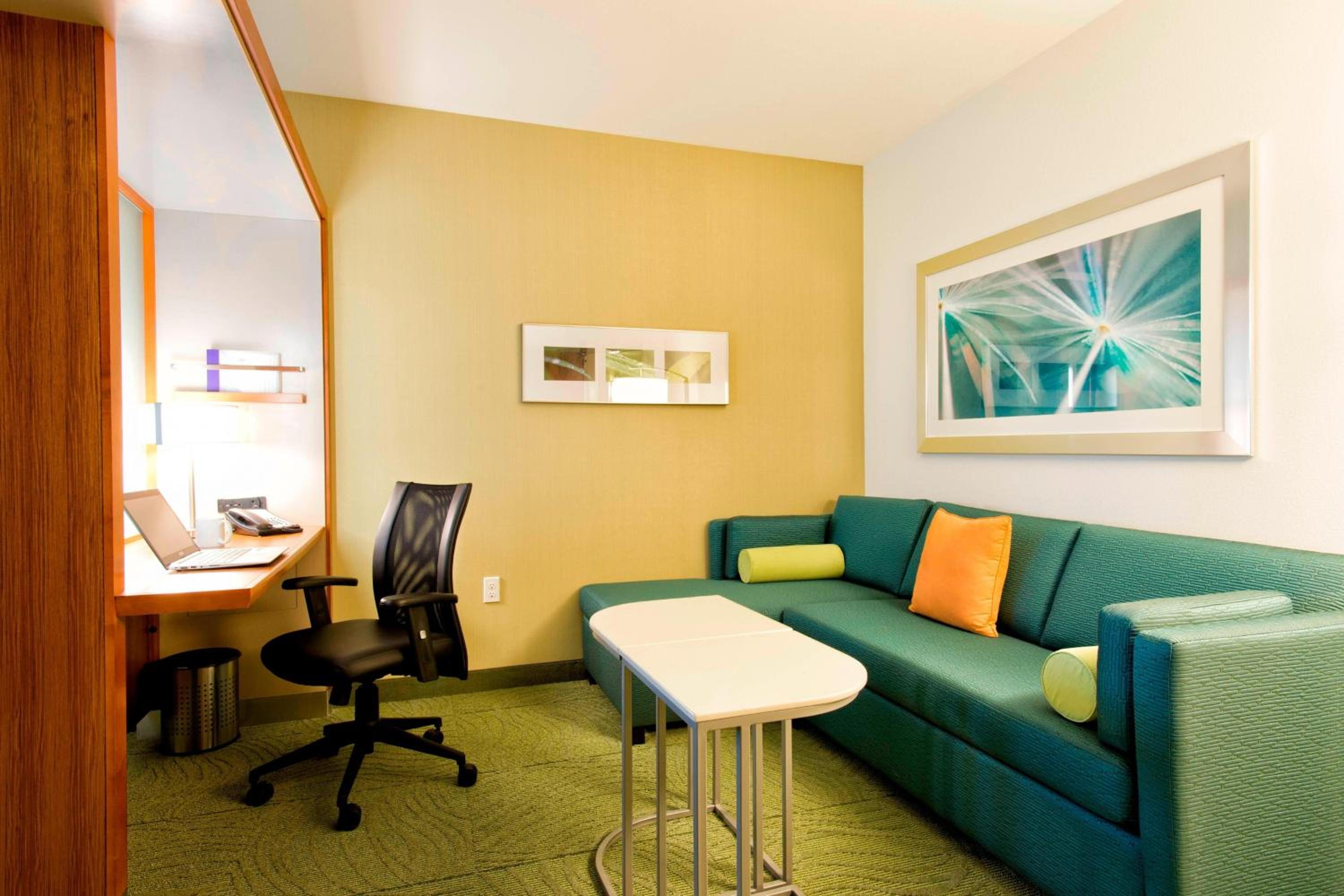 King Studio with Sofa Bed and Roll-in Shower - Mobility and Hearing Accessible photo 2
