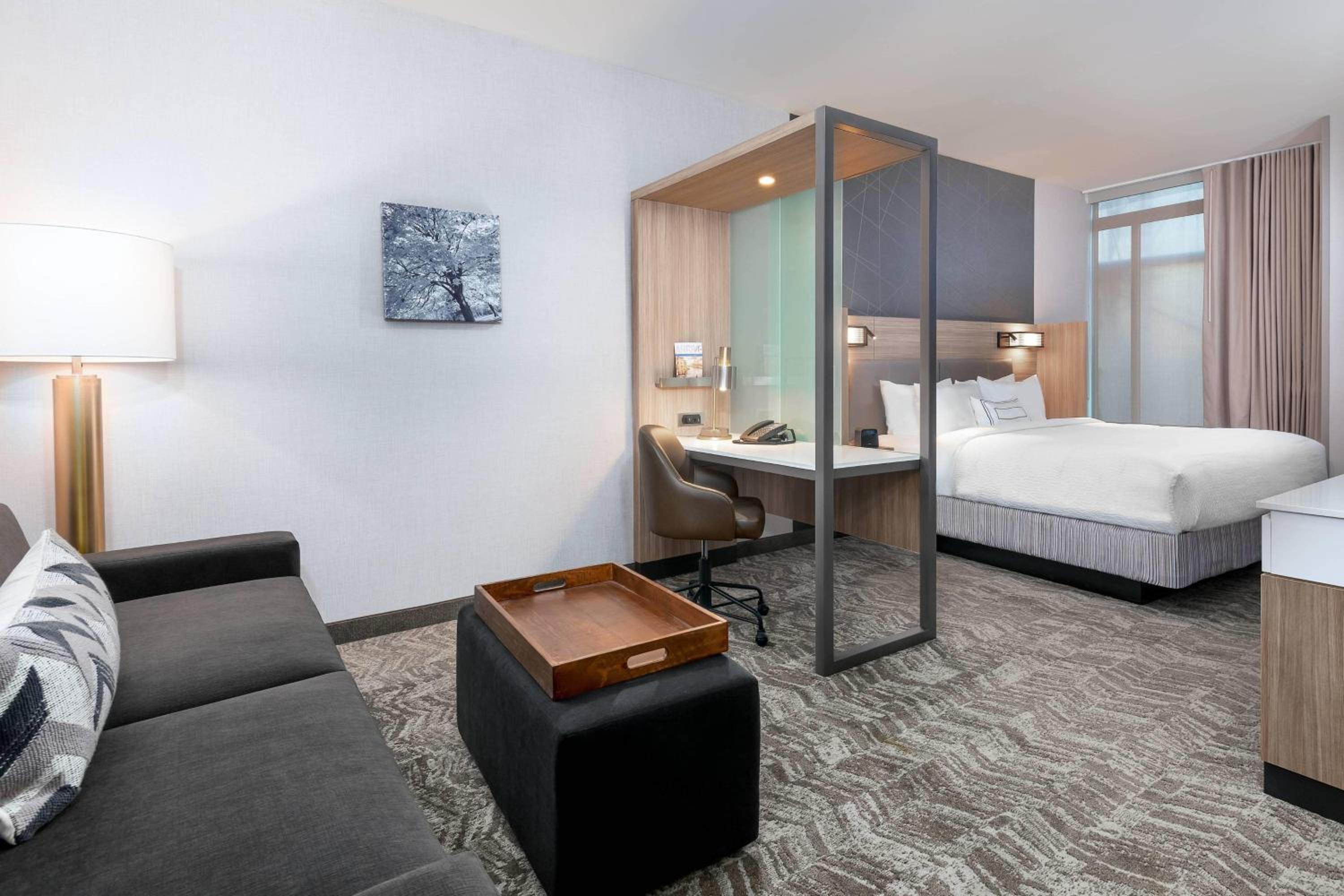 King Suite with Sofa Bed