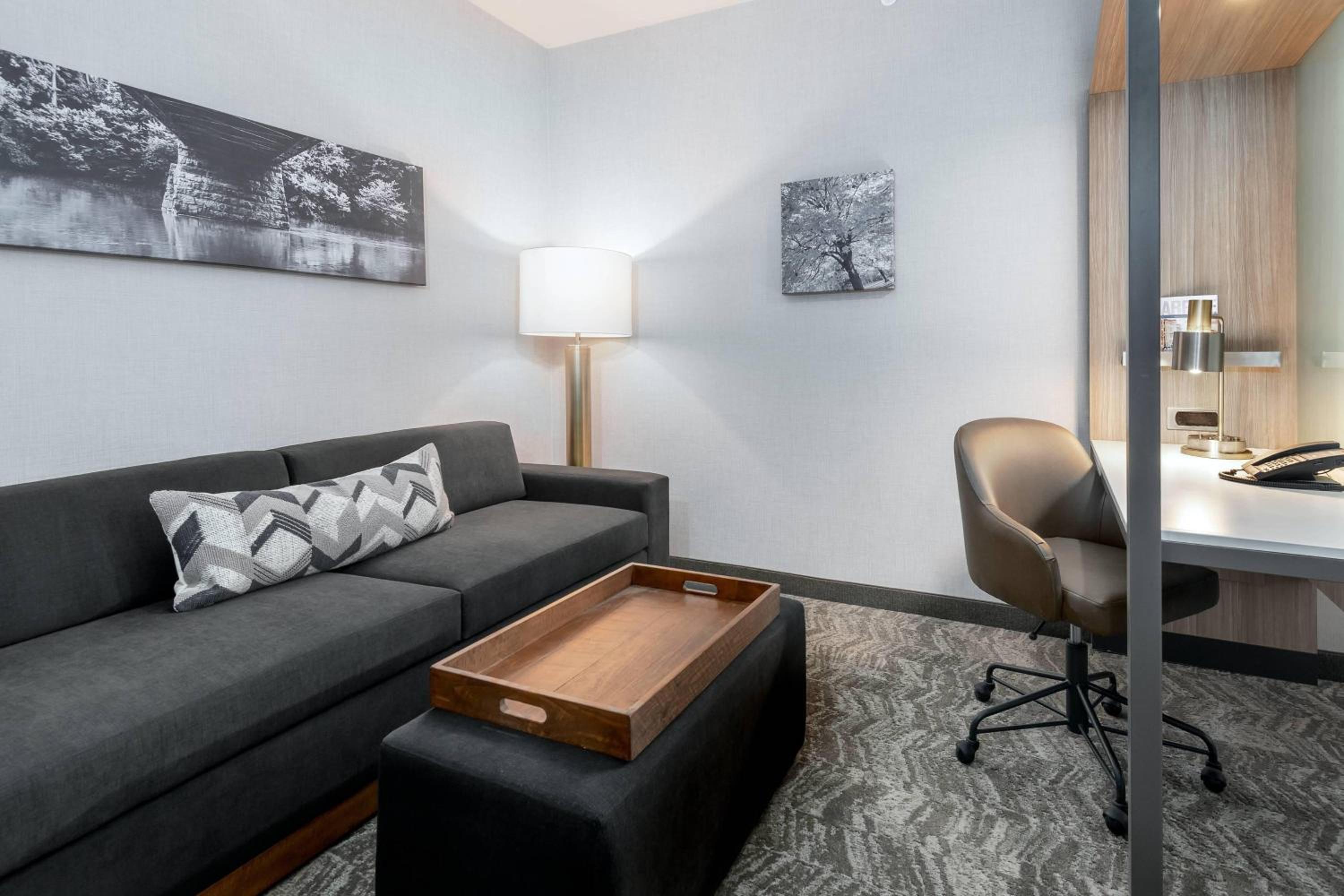 King Suite with Roll-In Shower and Sofa Bed - Mobility Access/Hearing Accessible
