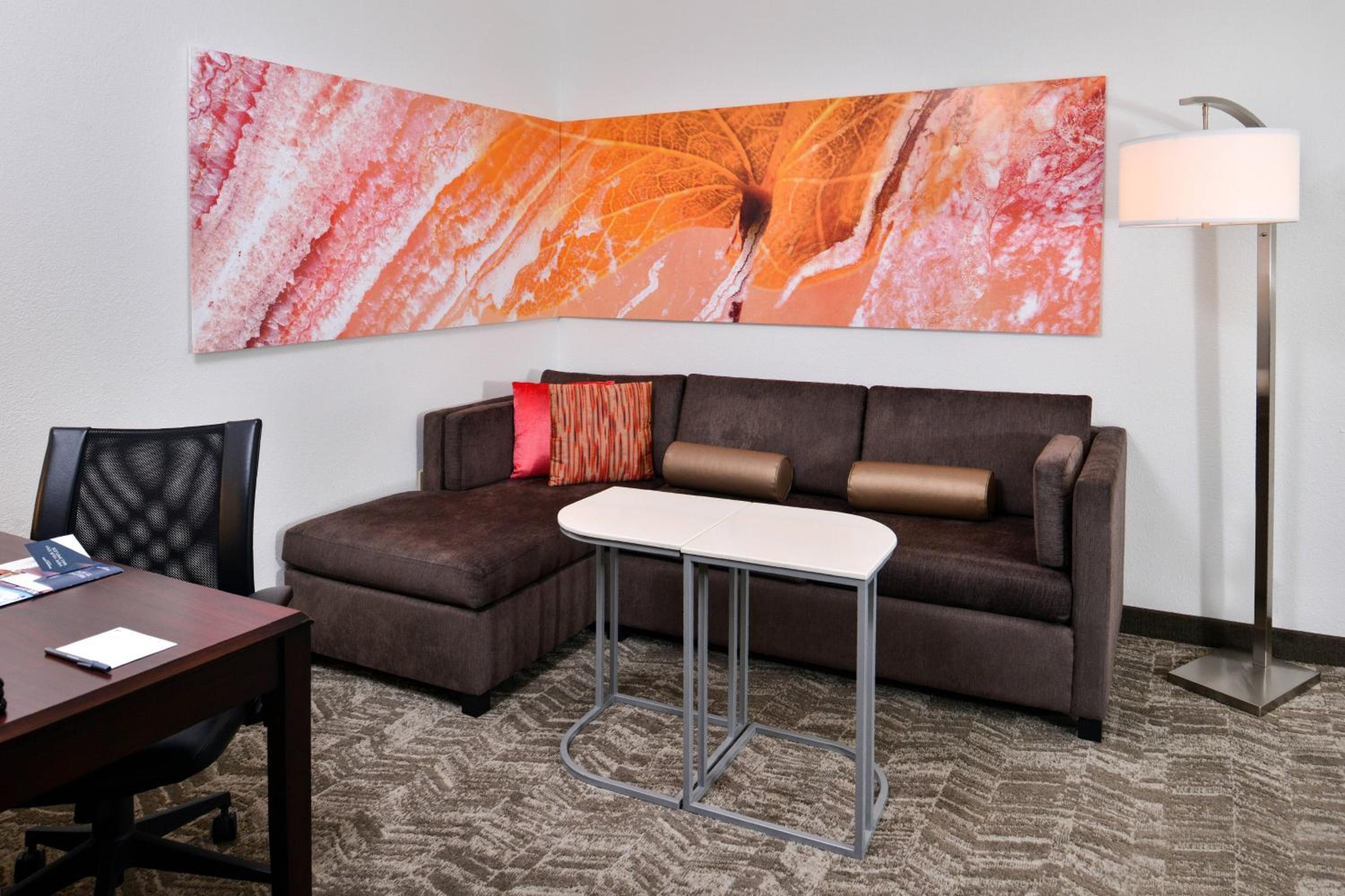 SpringHill Suites by Marriott Oklahoma City Airport, Φωτογραφία 3