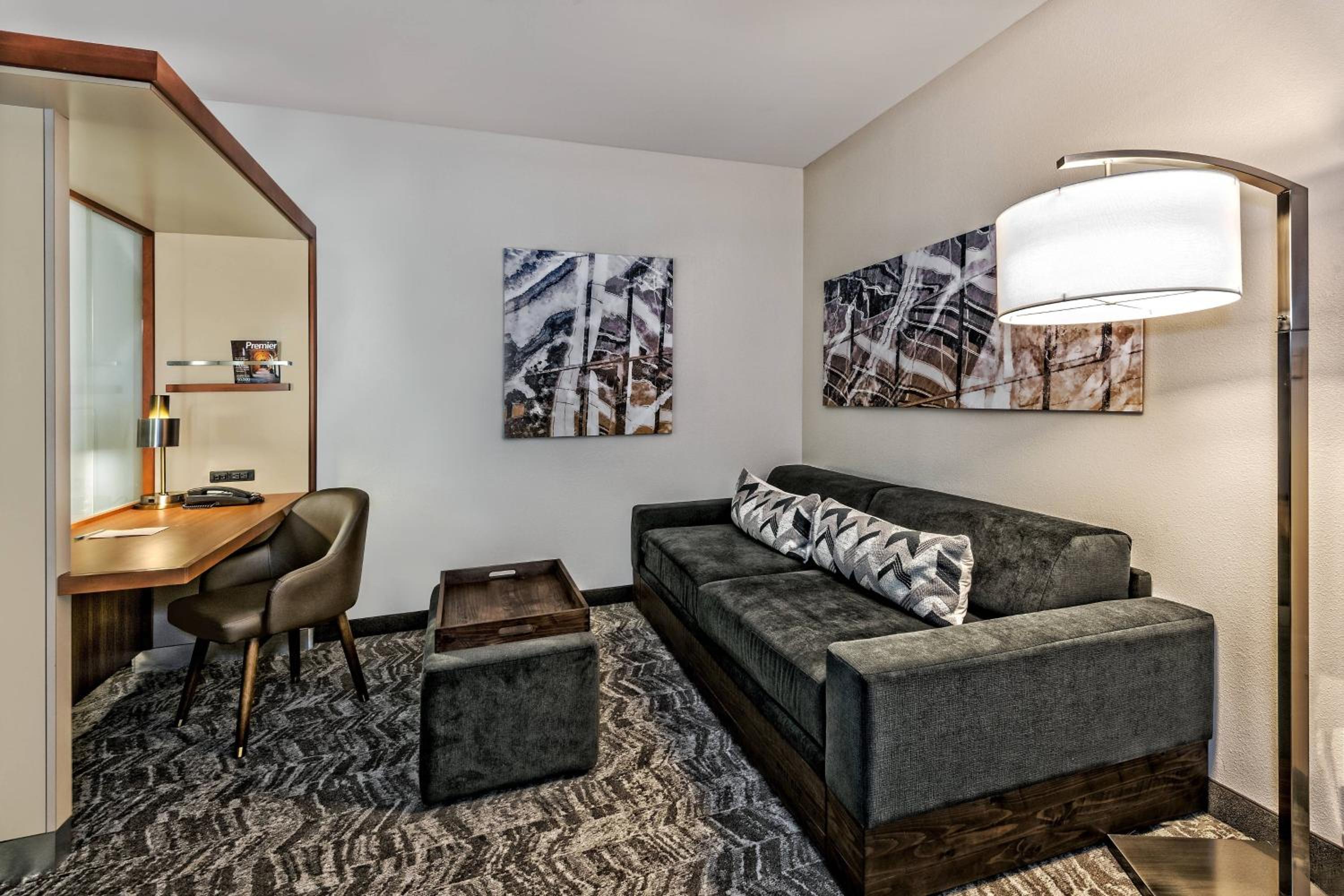 King Suite with Roll-In Shower and Trundle Sofa - Mobility Access/Hearing Accessible - Photo 2