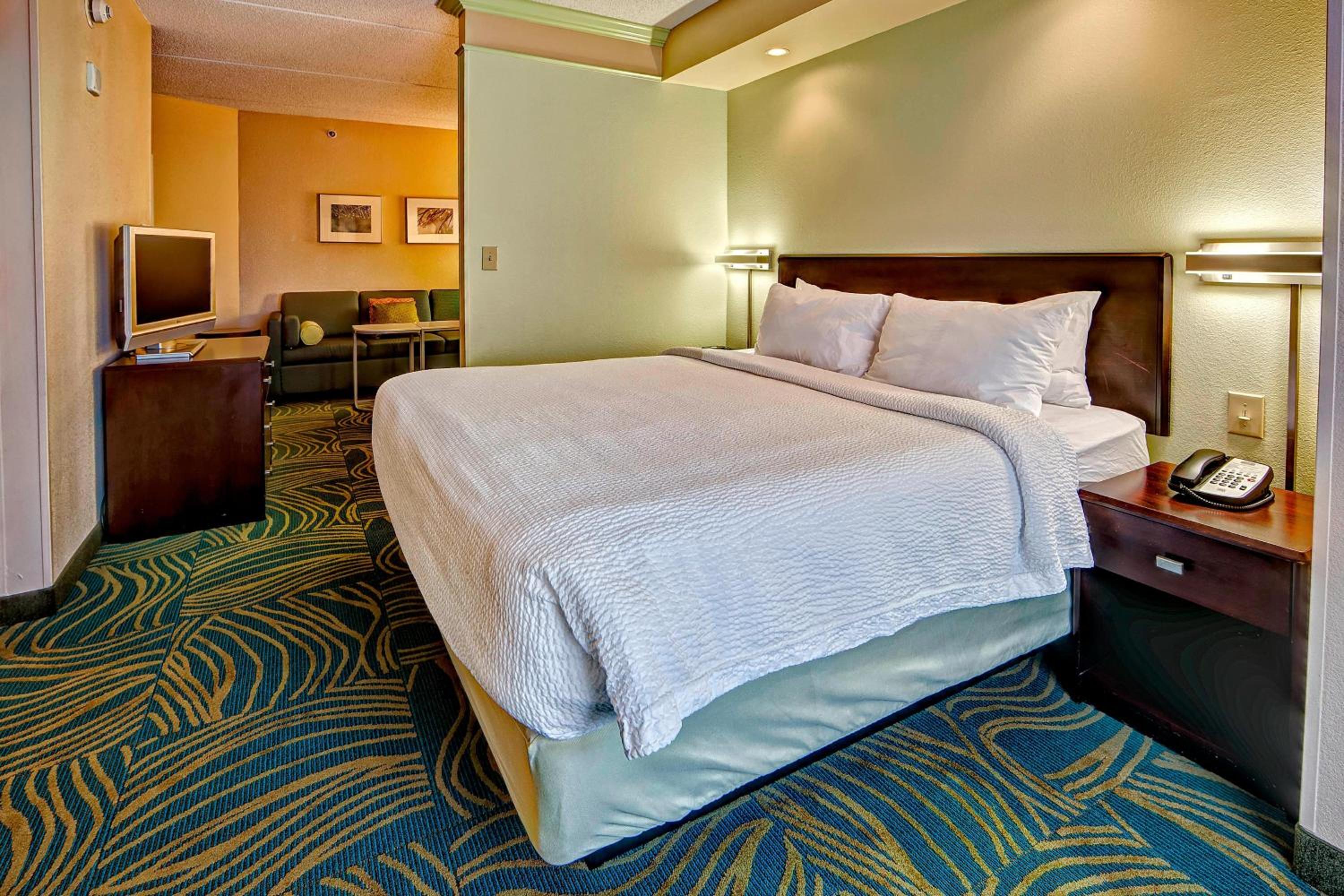 King Suite with Sofa Bed - Photo 1