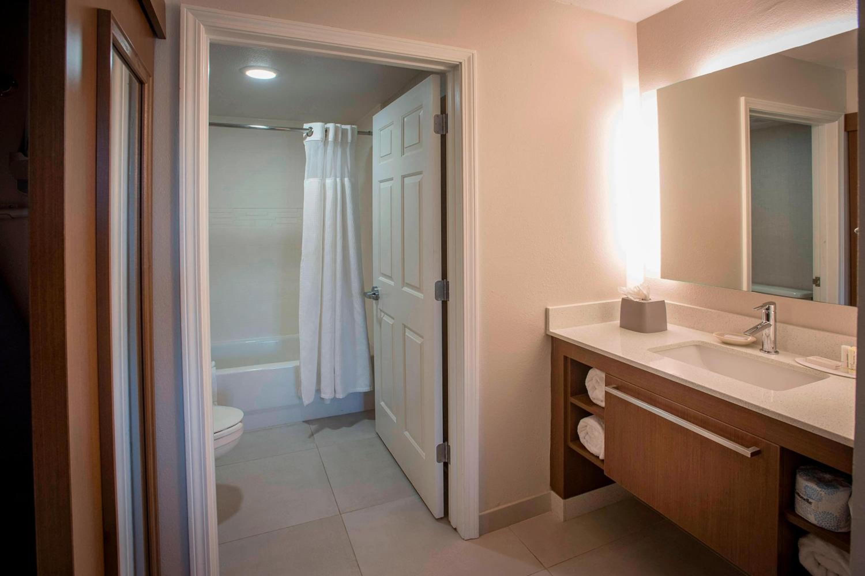 One-Bedroom Queen Suite with Sofa Bed and Adapted Tub - Mobility and Hearing Accessible photo 2