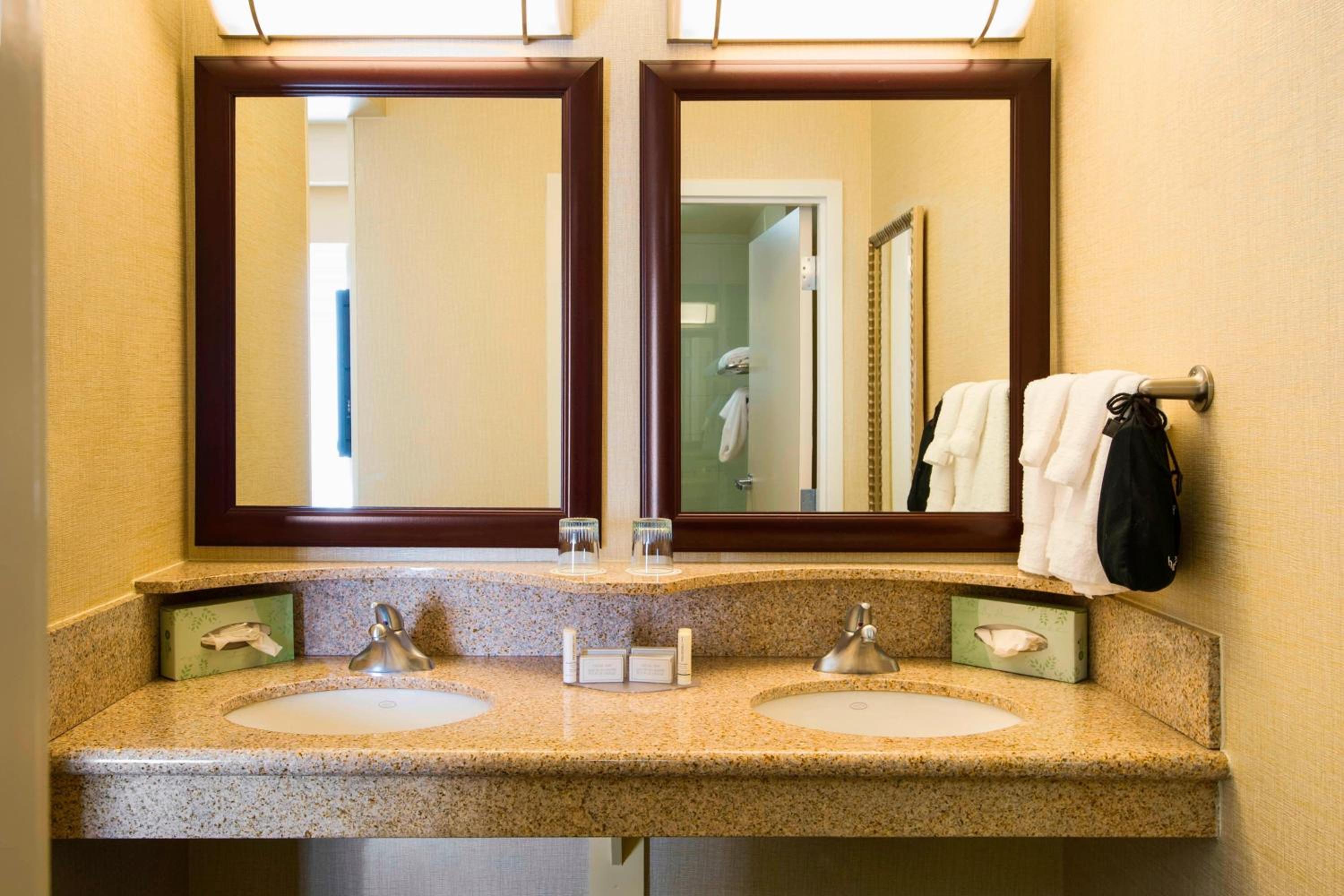King Suite with Specialty Bathtub and Sofa Bed - Photo 4