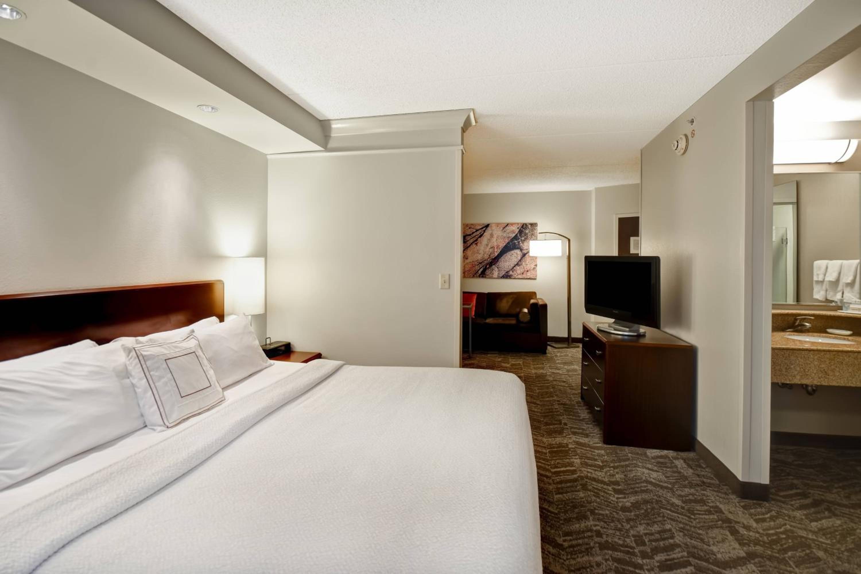 Studio, King, Sofa bed (Mobility &amp; Hearing Accessible w/ Roll-in Shower) photo 1