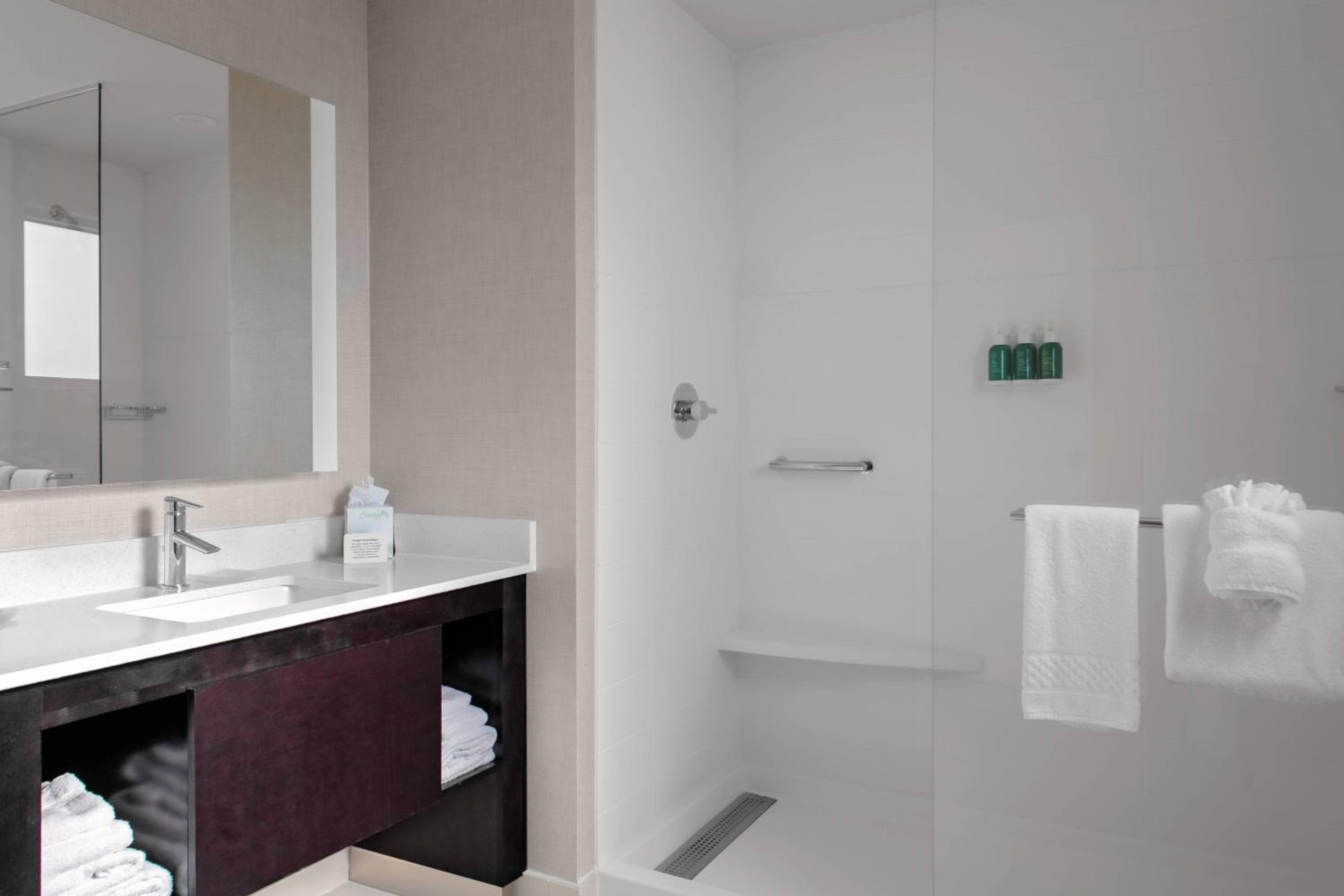 One-Bedroom Queen Suite with Sofa Bed - Hearing Accessible