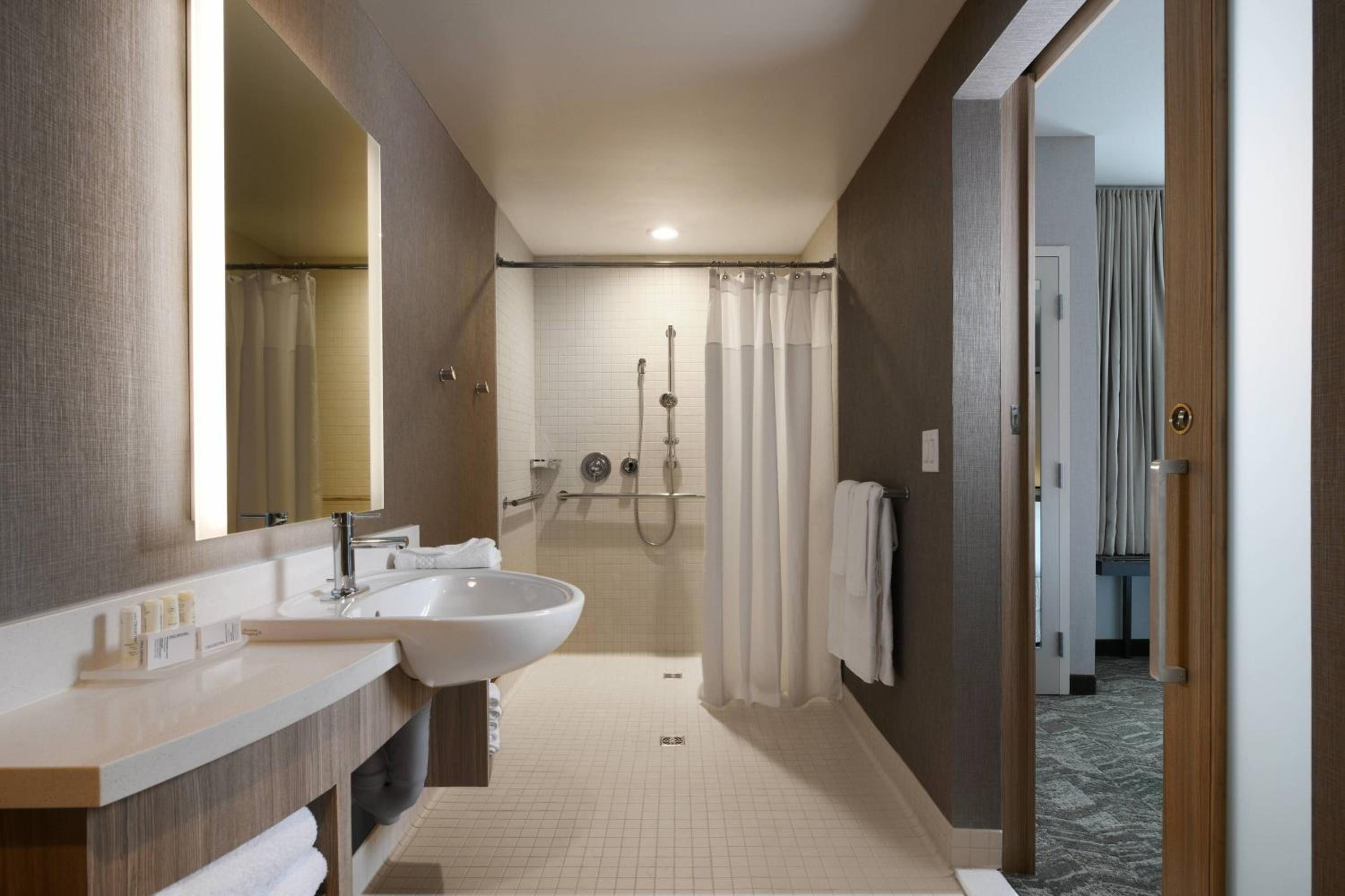 King Studio with Sofa Bed and Roll-in Shower - Mobility Accessible