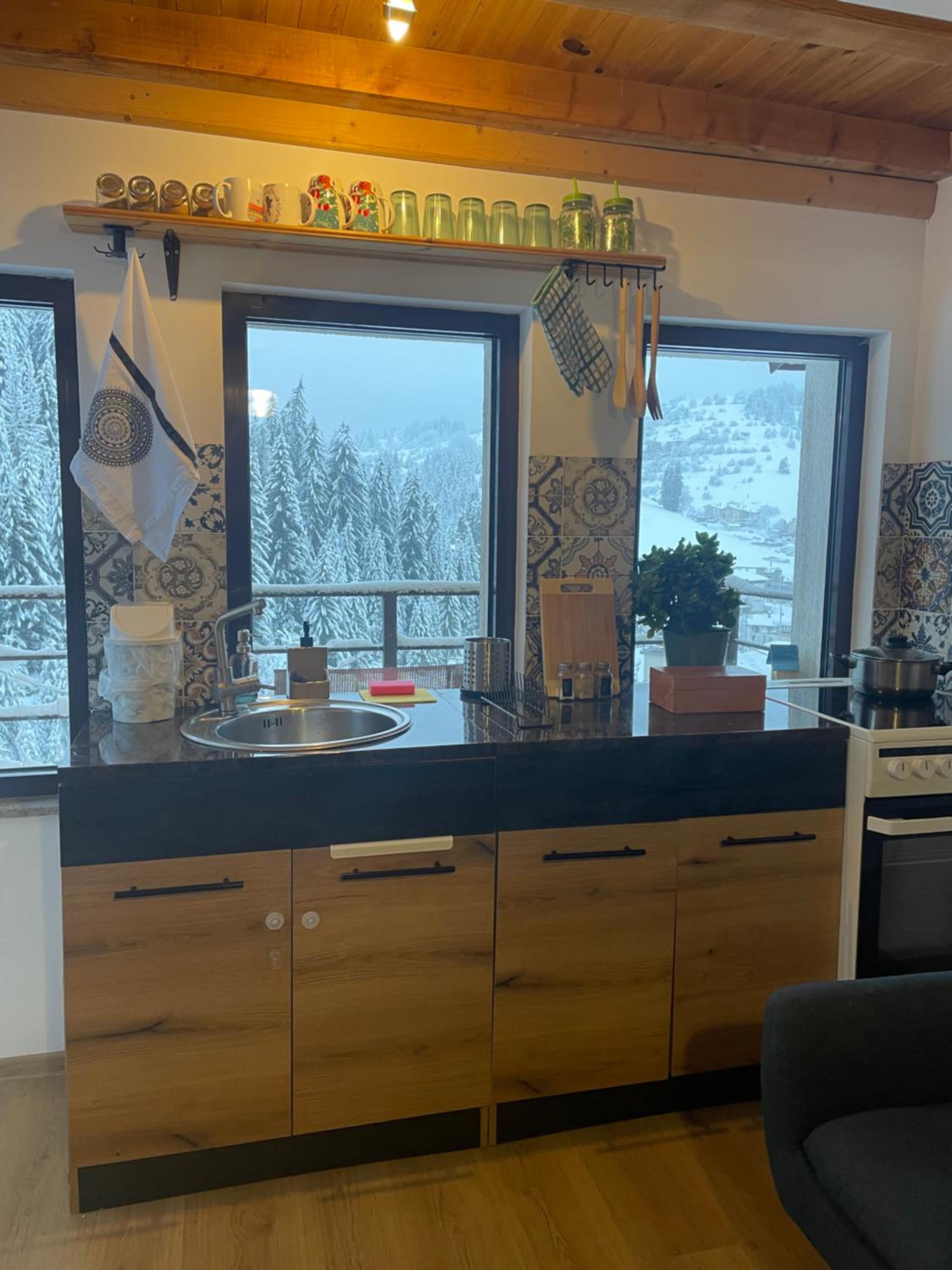 Apartment with Mountain View photo 2