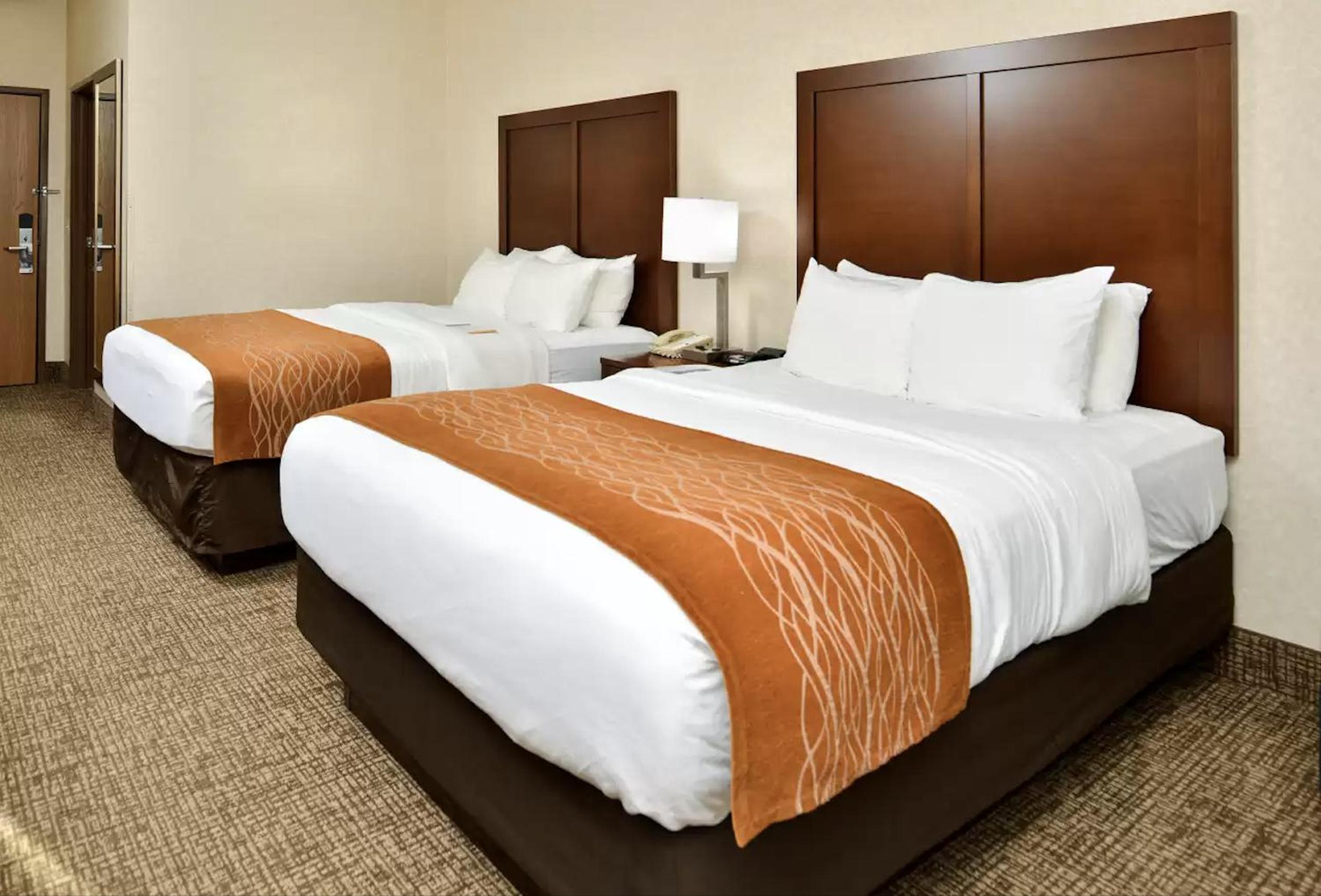 Quadruple Room with Two Queen Beds - Non Smoking/Pet Friendly photo 2