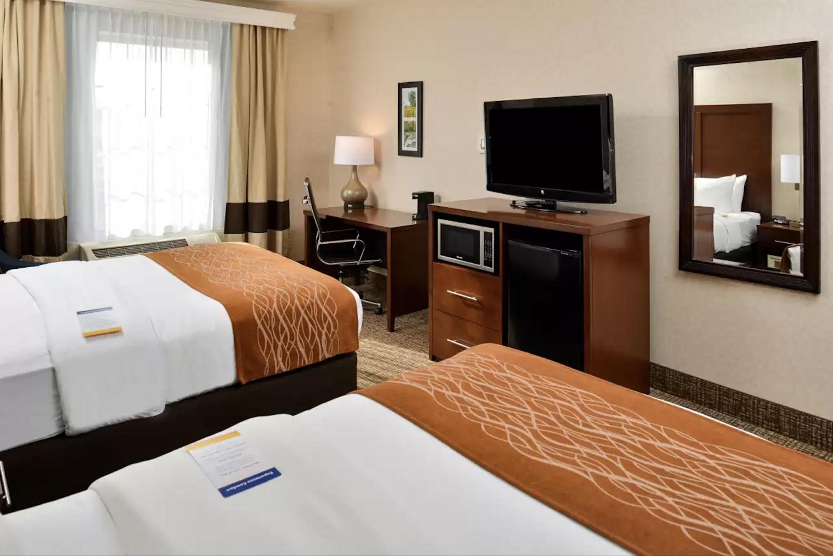 Quadruple Room with Two Queen Beds - Non Smoking/Pet Friendly photo 3