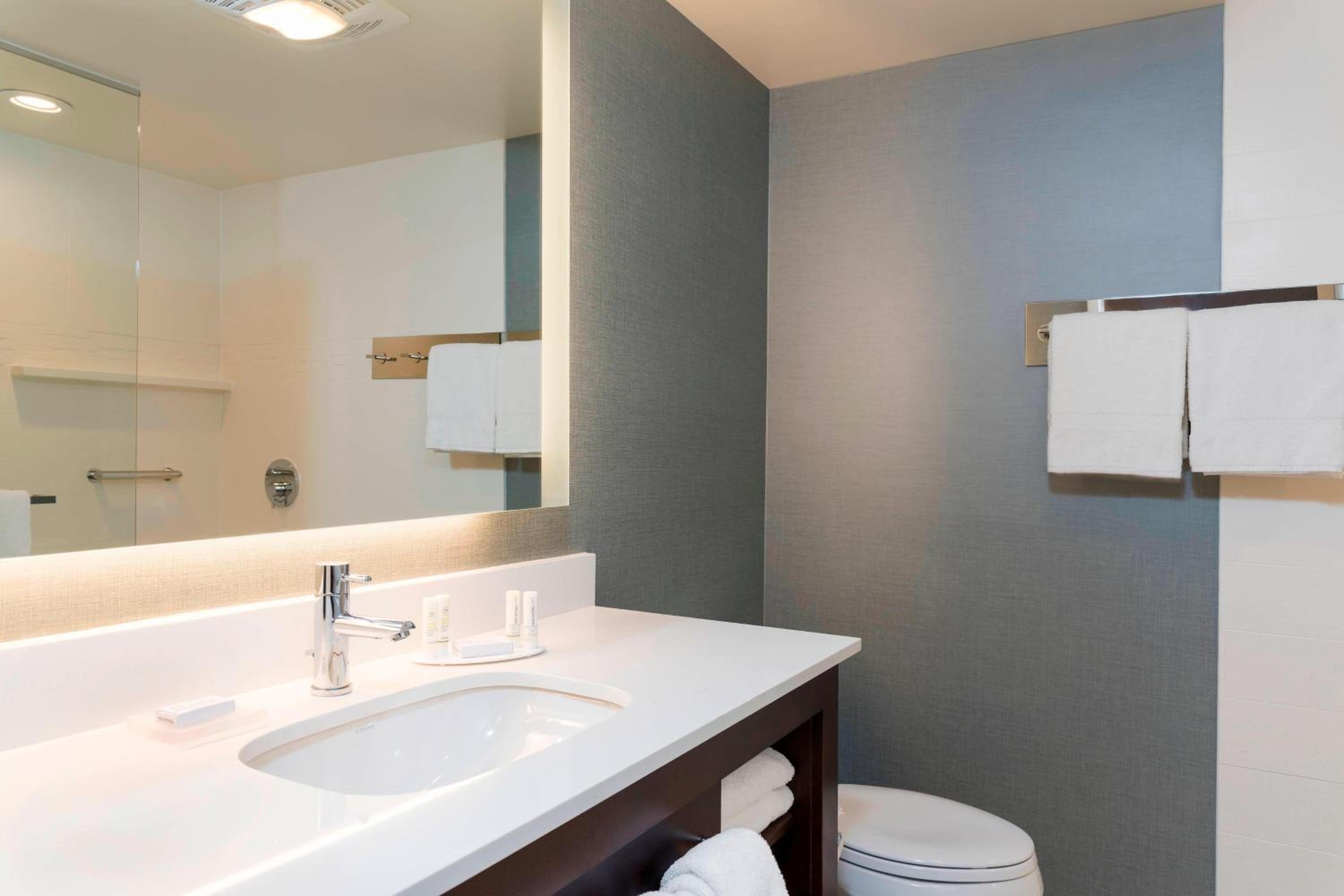 Newly Renovated One-Bedroom King Suite with Sofa Bed and Transfer Shower - Mobility/Hearing Accessible