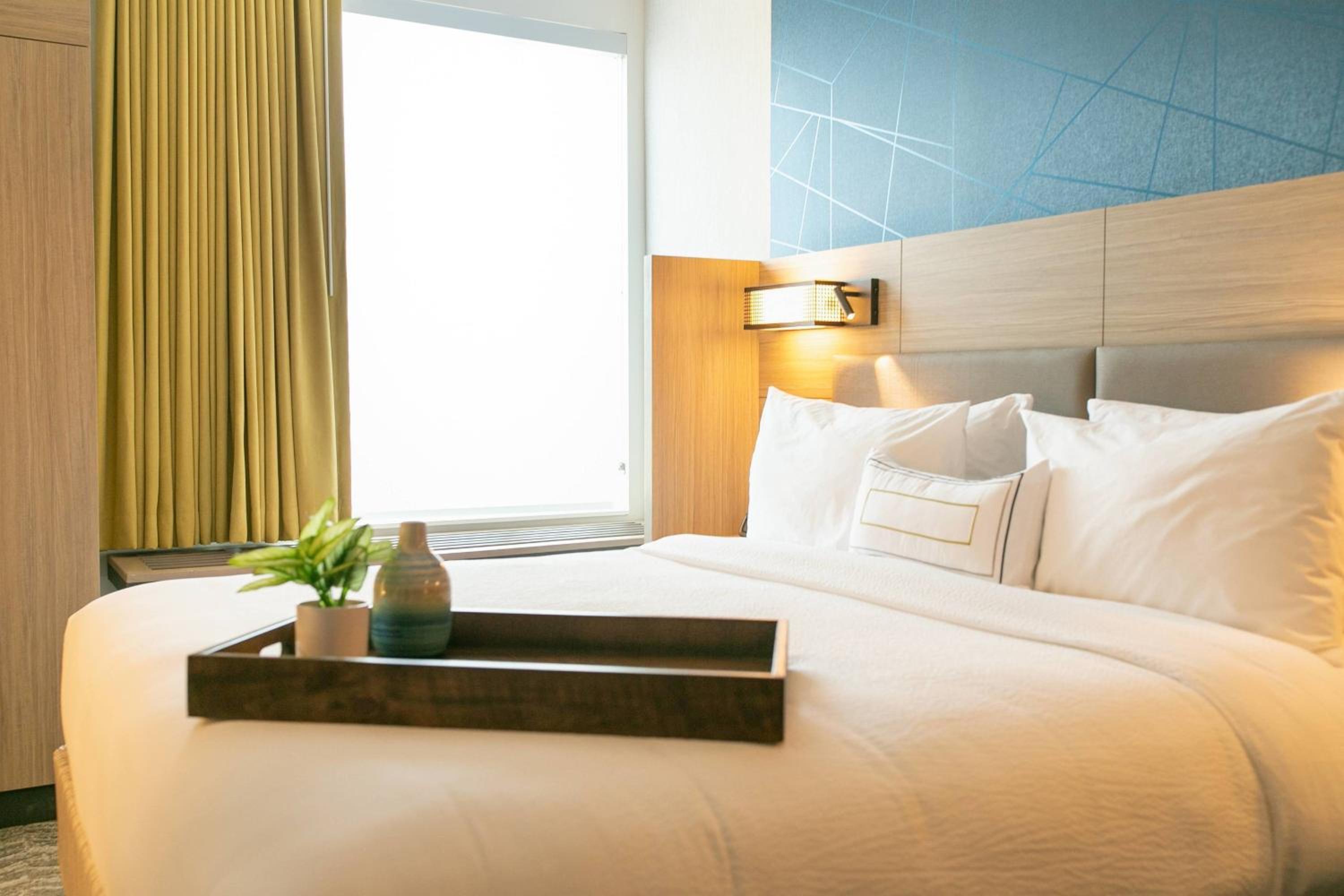 King Suite with Sofa Bed and Roll-in Shower - Mobility and Hearing Accessible - Photo 1