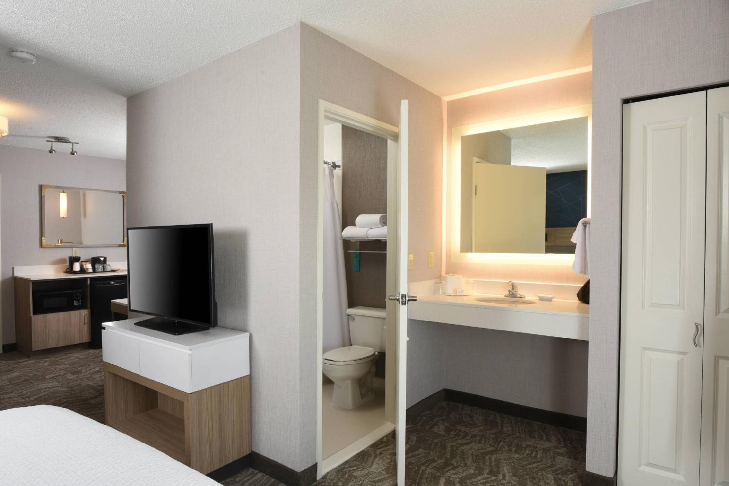 King Suite with Sofa Bed - Photo 4