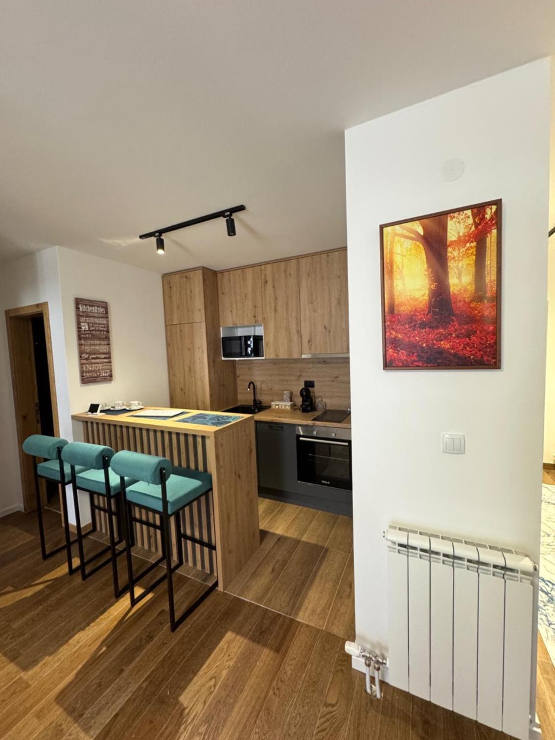 One-Bedroom Apartment photo 2