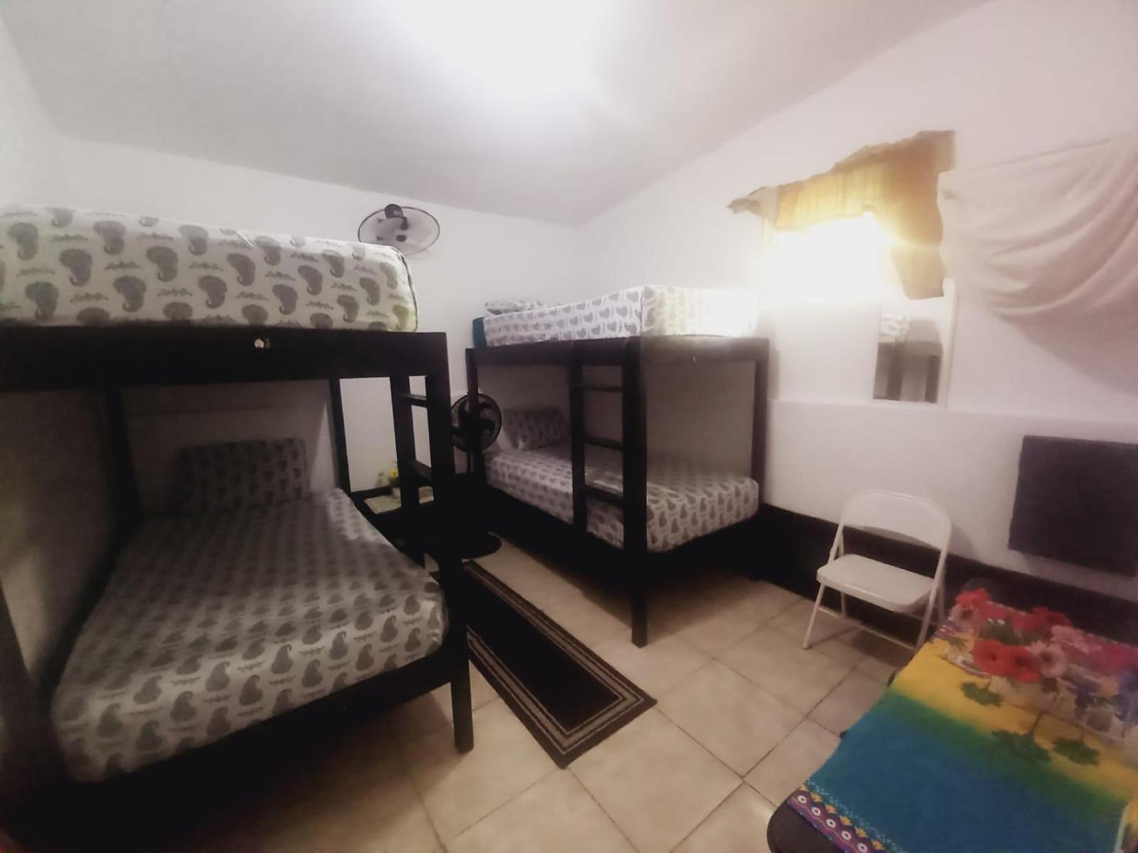 Bunk Bed in Mixed Dormitory Room