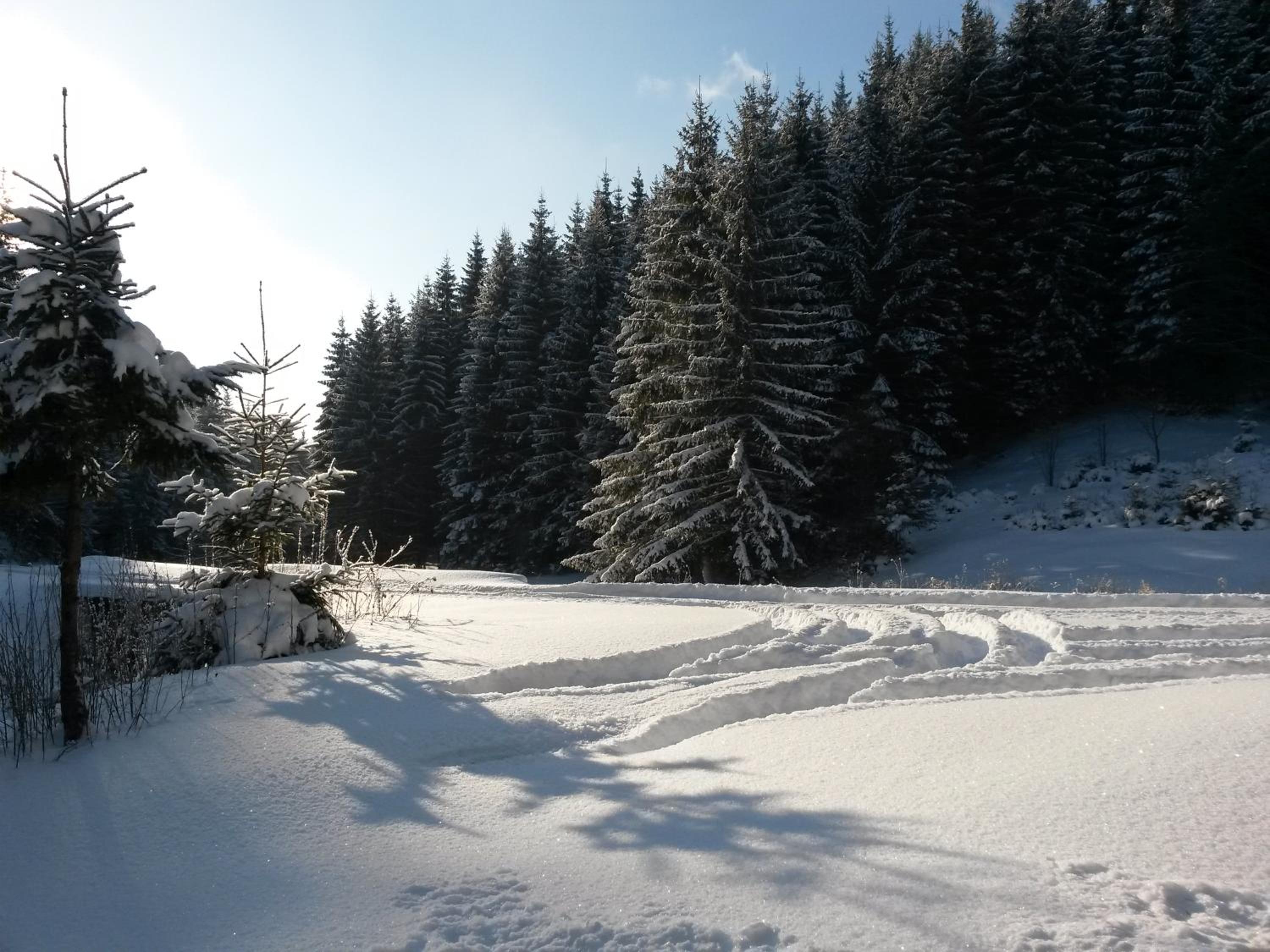 Chalet photo 3