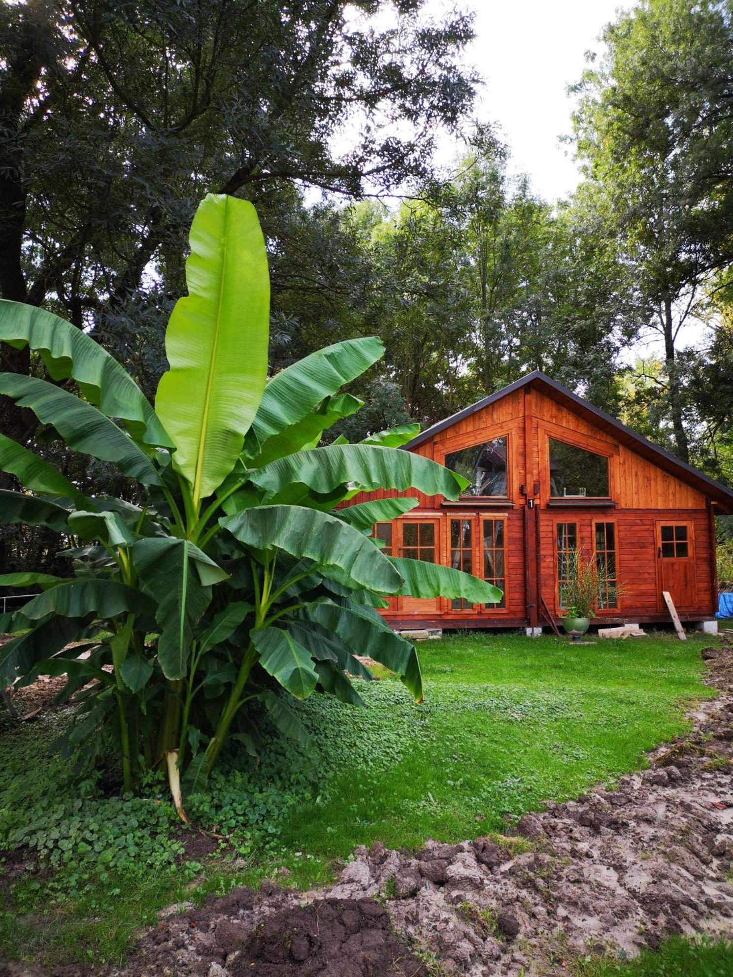 Cottage with Garden View - Photo 1