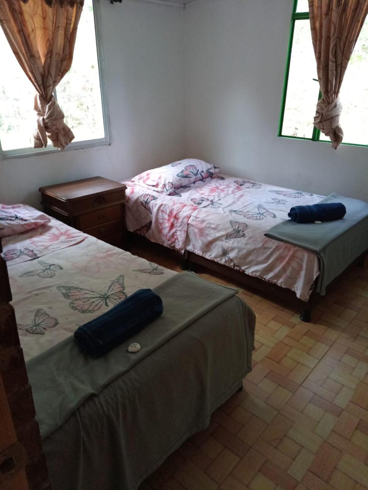 Standard Twin Room photo 1