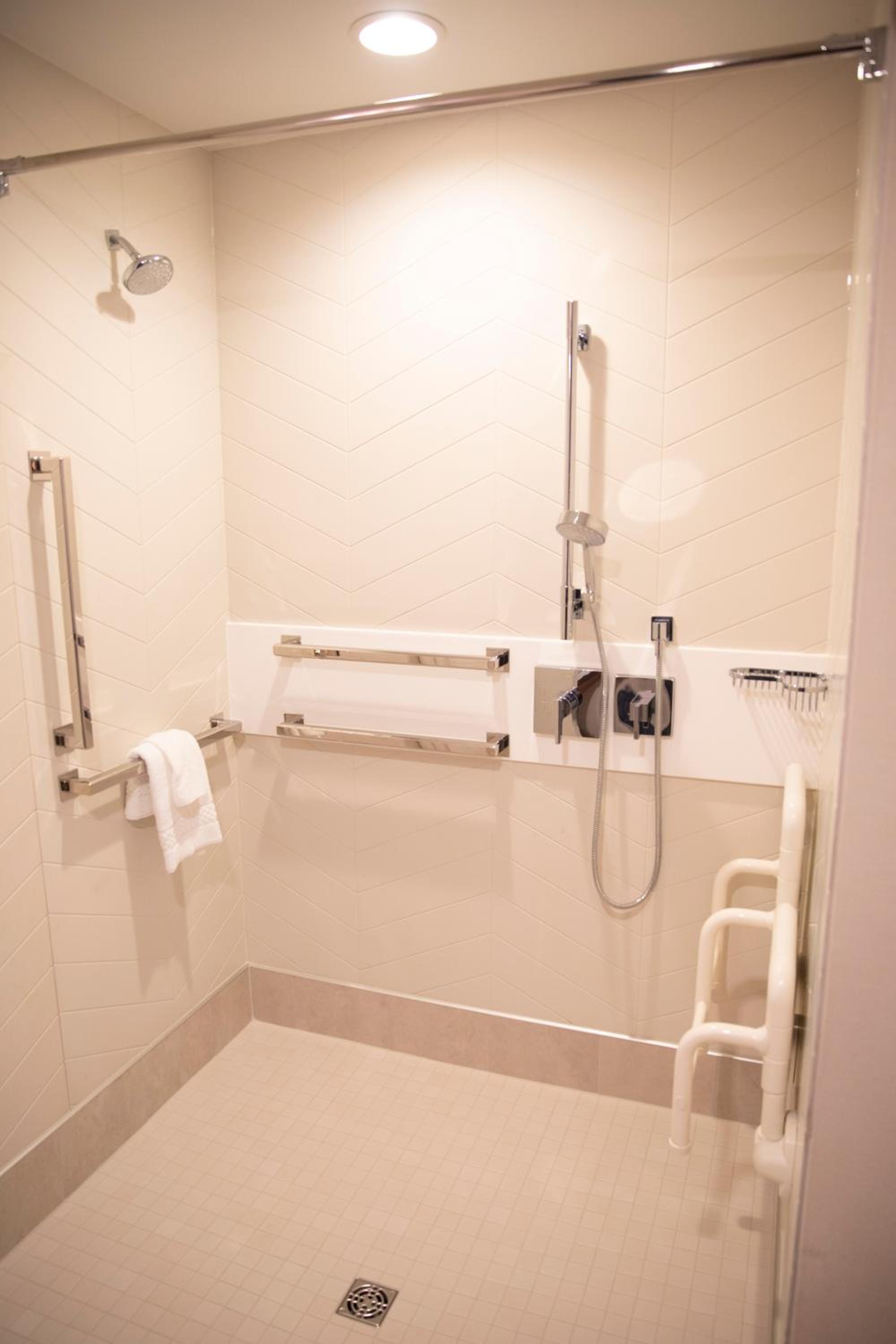 King Room with Roll-In Shower and Partial Lake View - Mobility Accessible