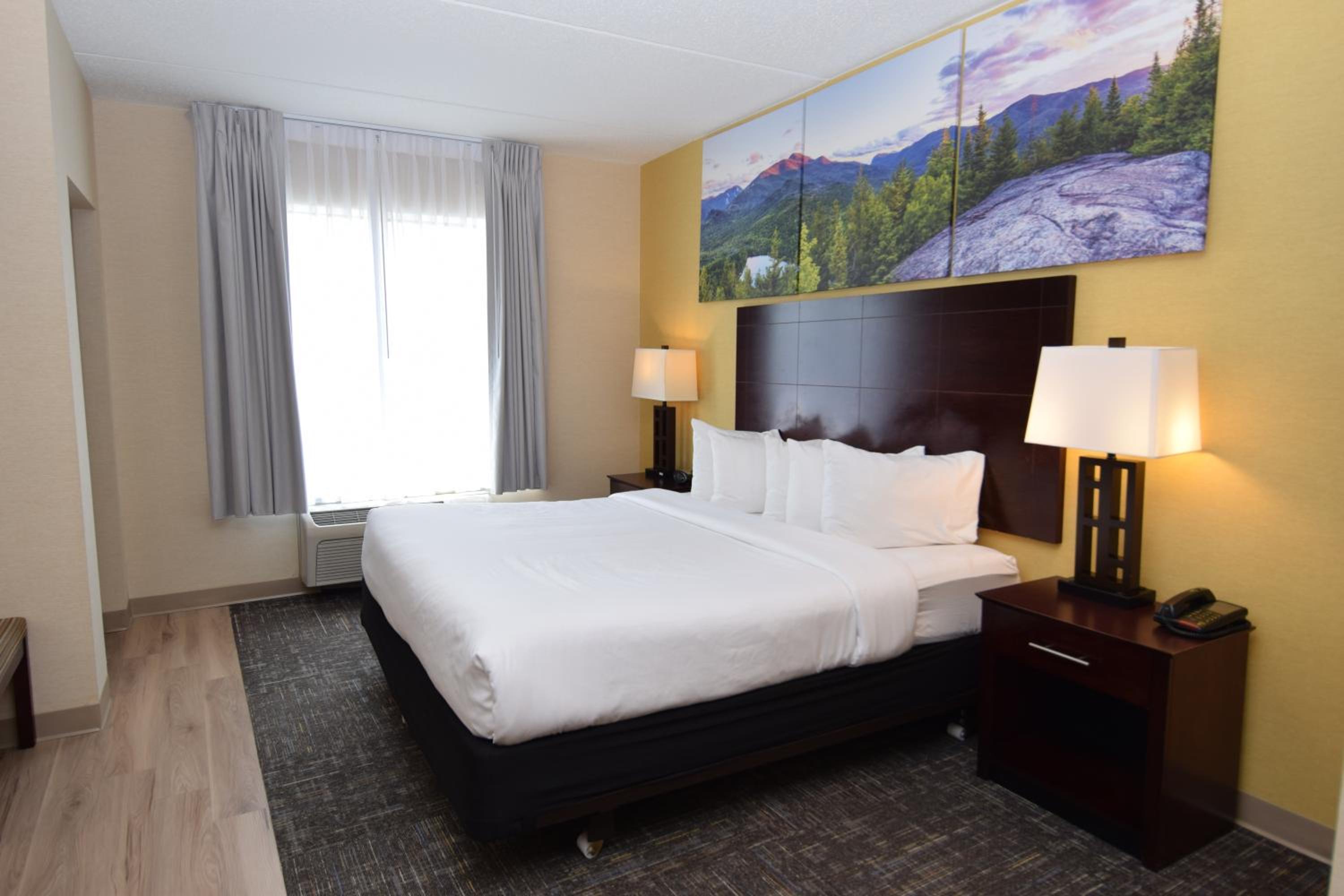 King Suite - Photo 2