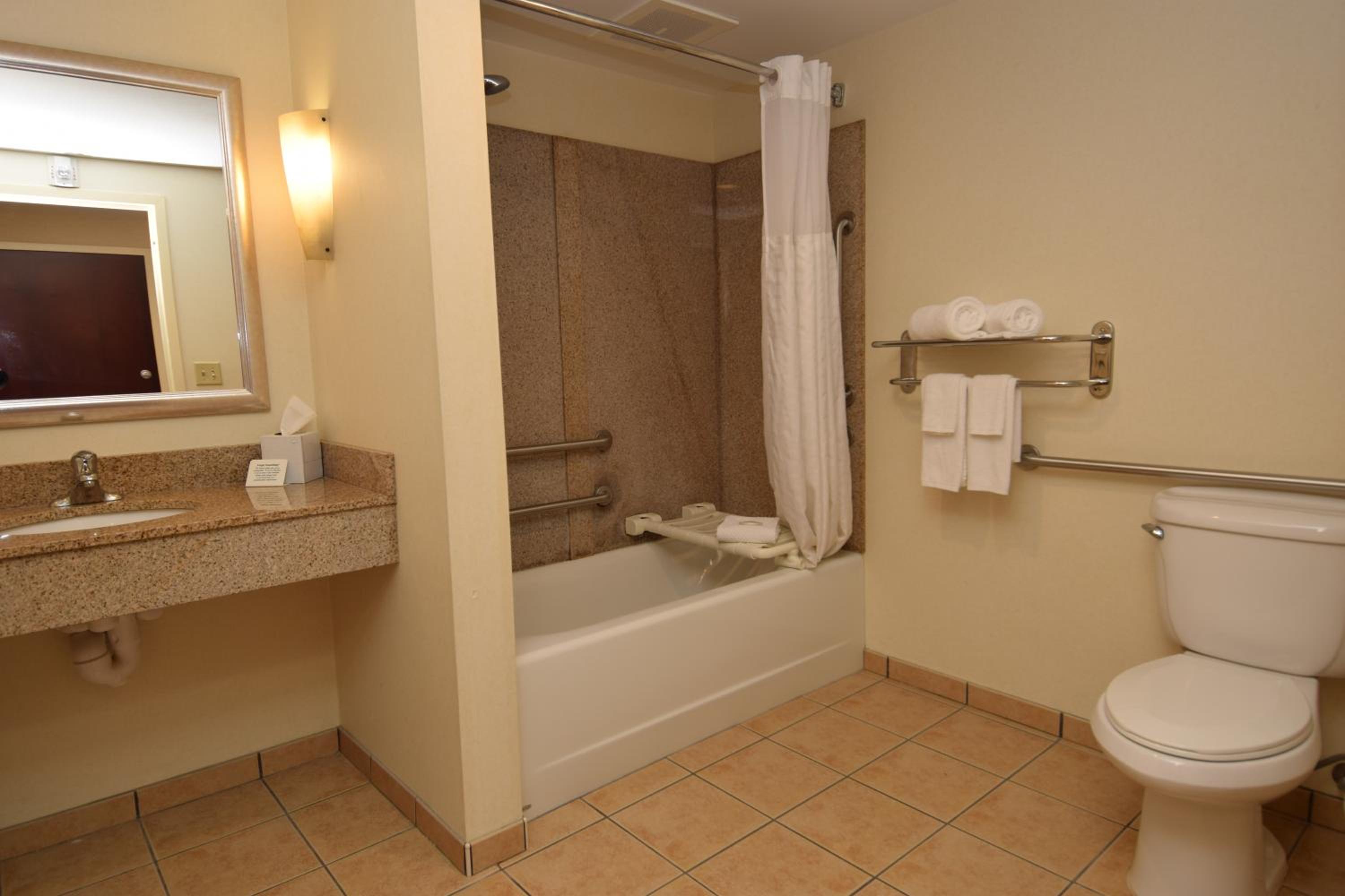 King Suite - Accessible/Non-Smoking - Photo 6