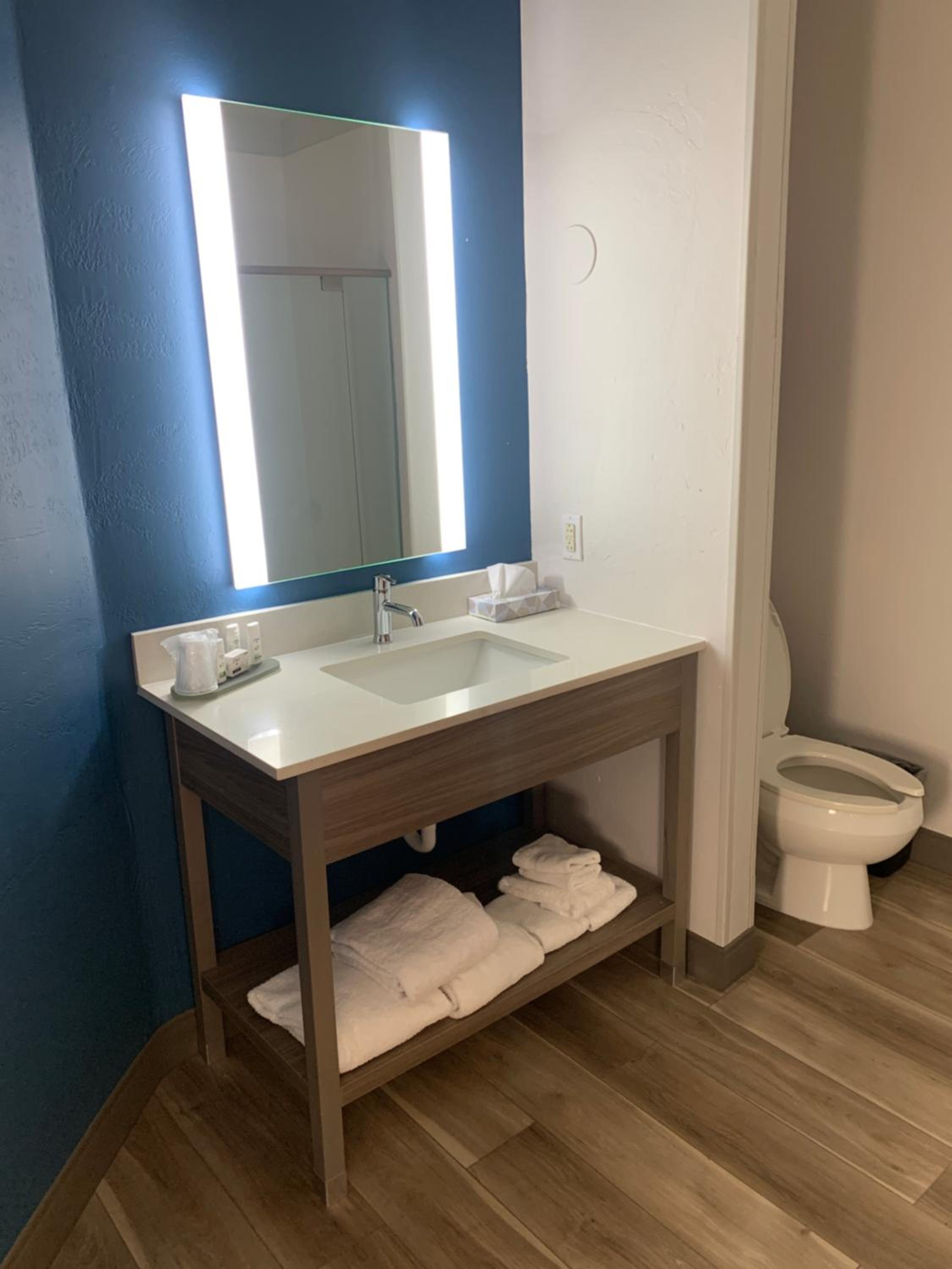 King Room with Bath Tub - Mobility Accessible/Non-Smoking - Photo 8