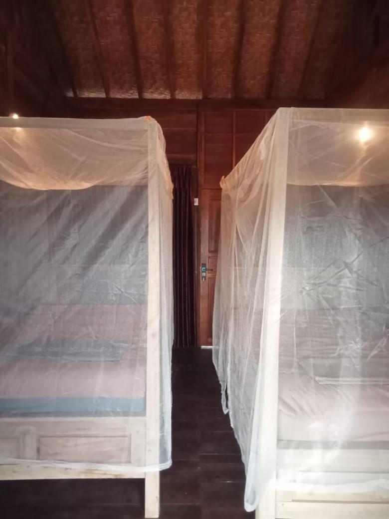 Double or Twin Room photo 1