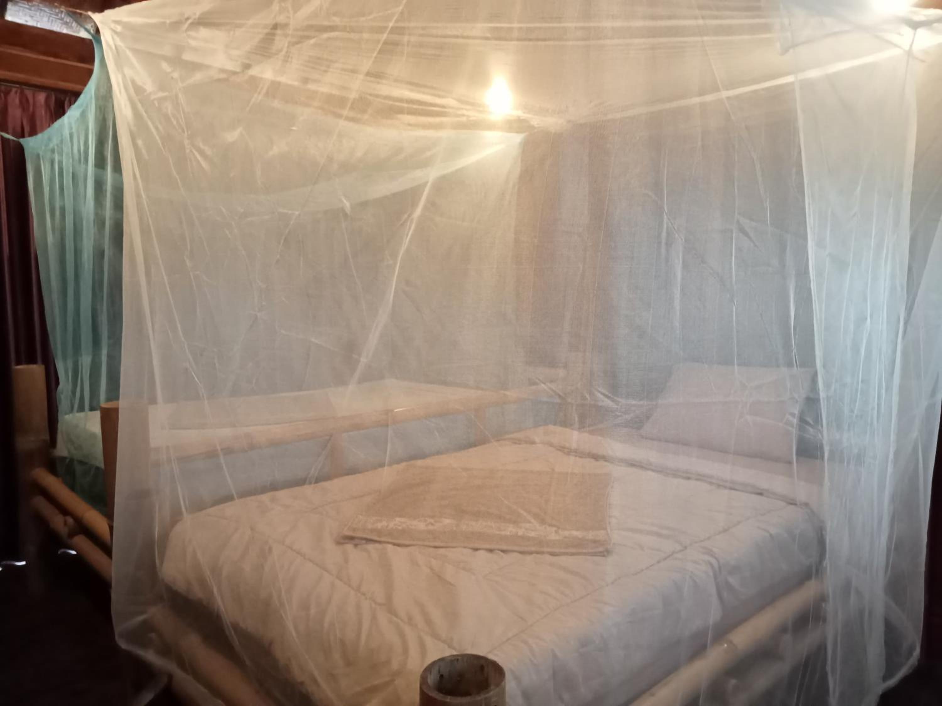 Double Or Twin Room photo 2
