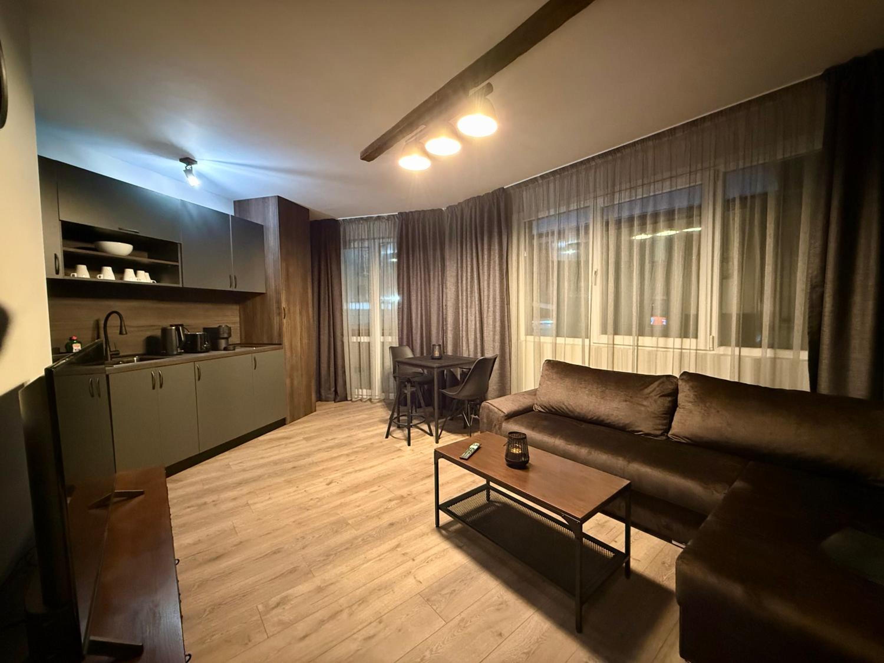 One-Bedroom Deluxe Apartment photo 3
