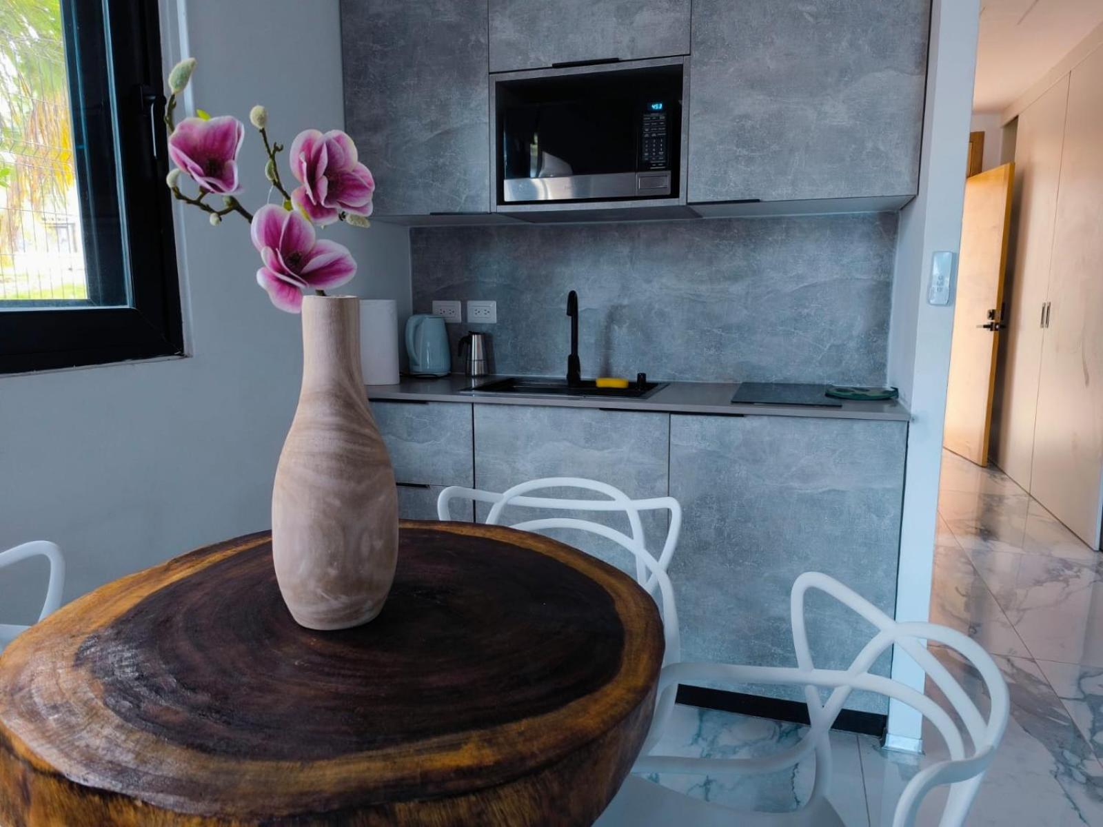 Deluxe One-Bedroom Apartment