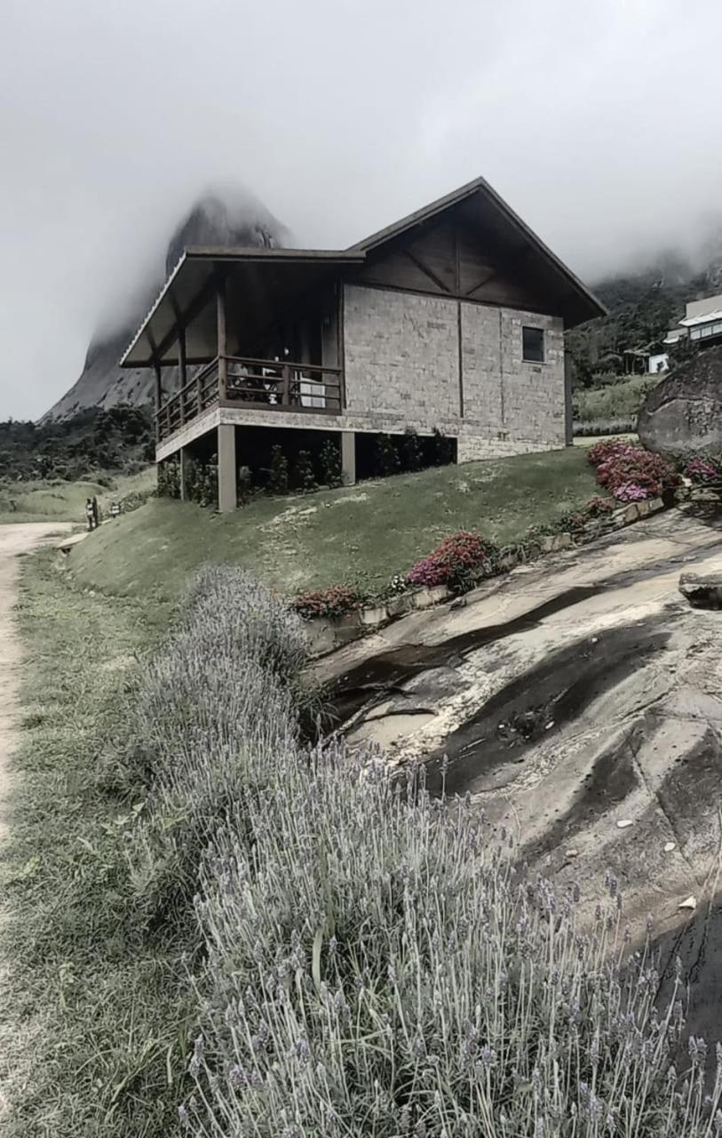 Family Bungalow photo 2