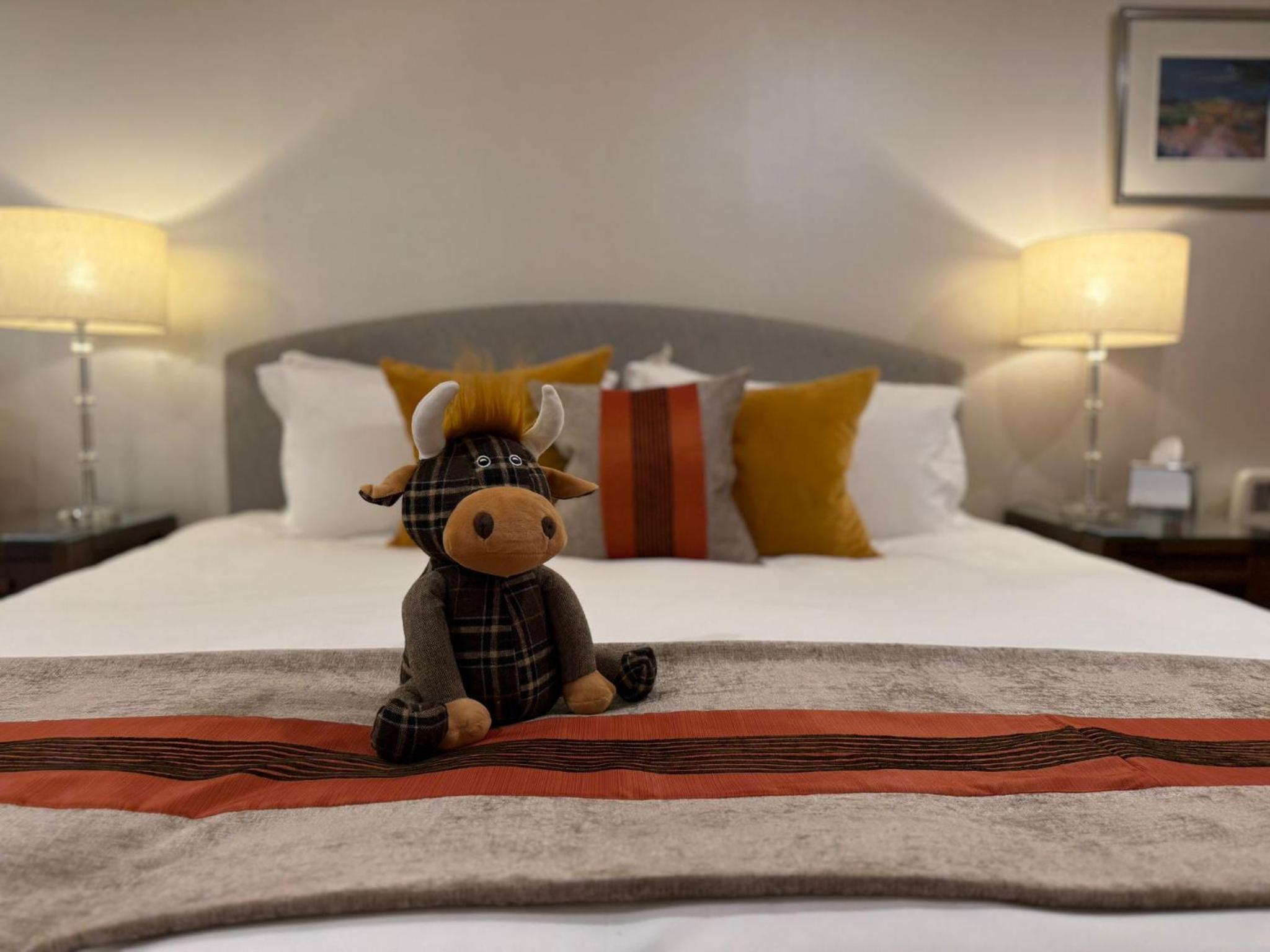 Superior King or Twin Room
