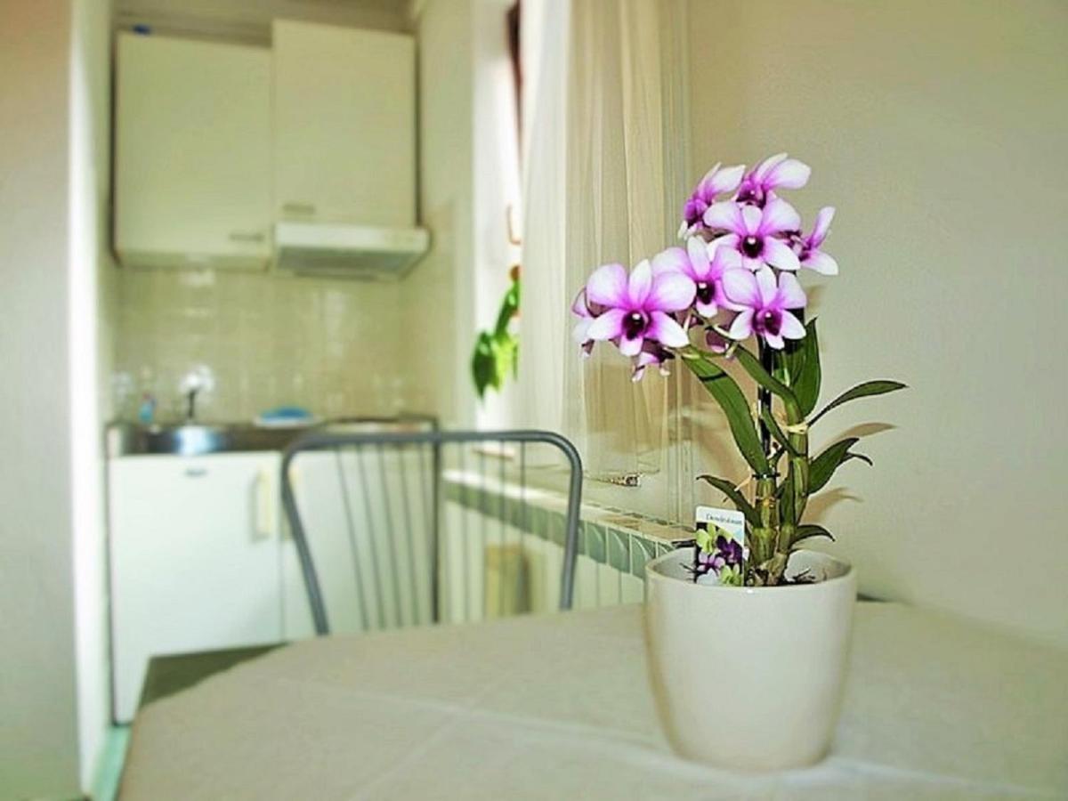 Studio Apartment - Photo 2