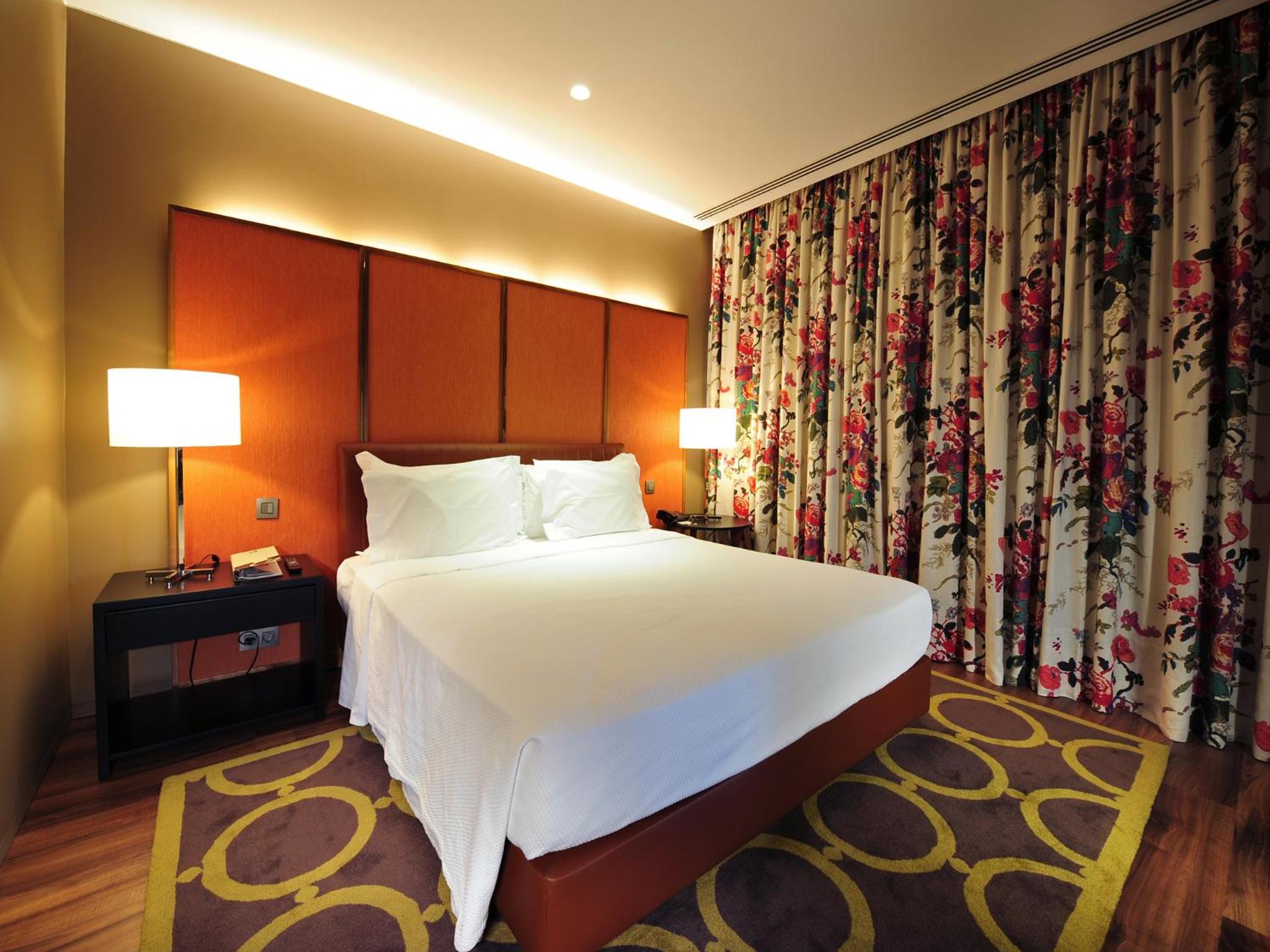 Deluxe Suite - Photo 5