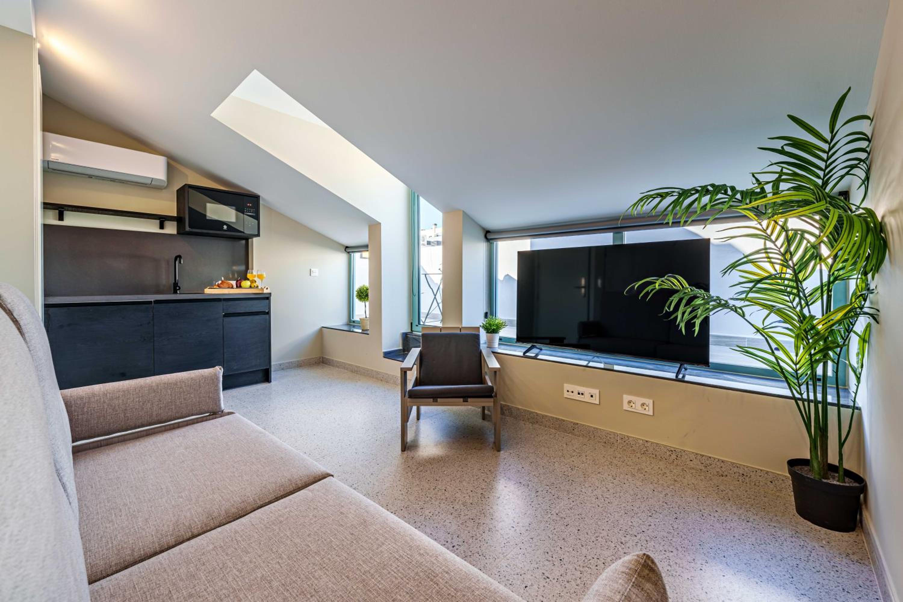Penthouse Apartment