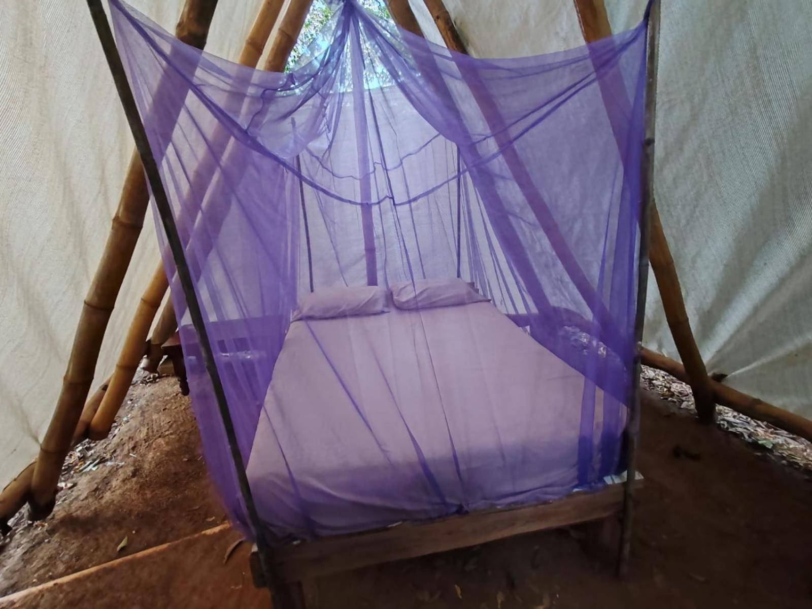 Tent photo 2