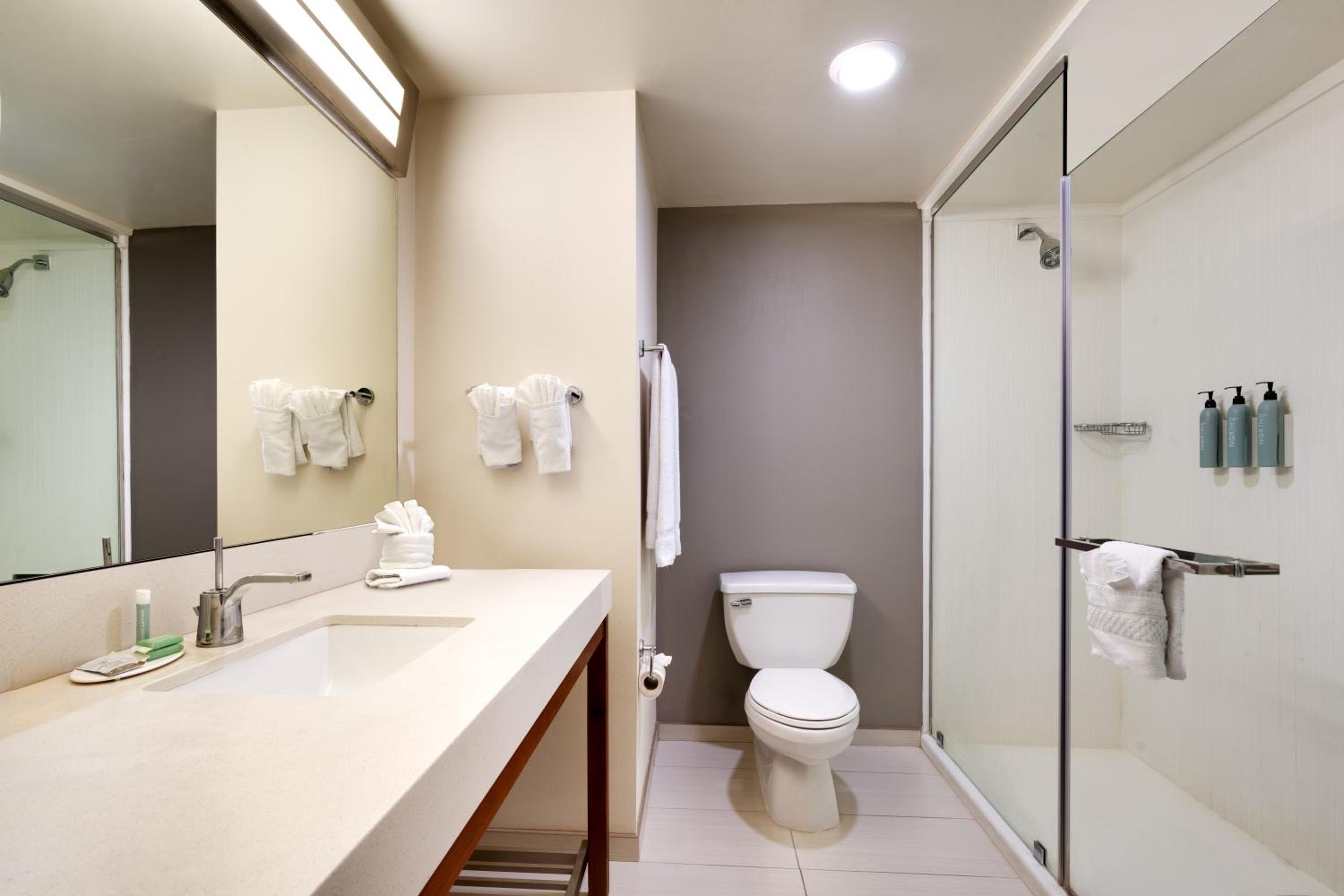 King Room - Photo 1