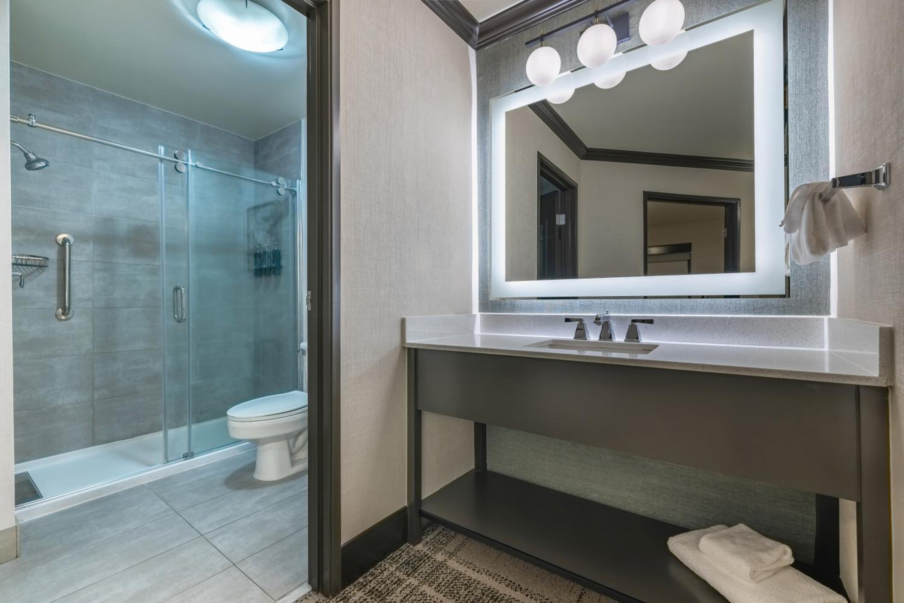 One-Bedroom King Suite - Photo 3