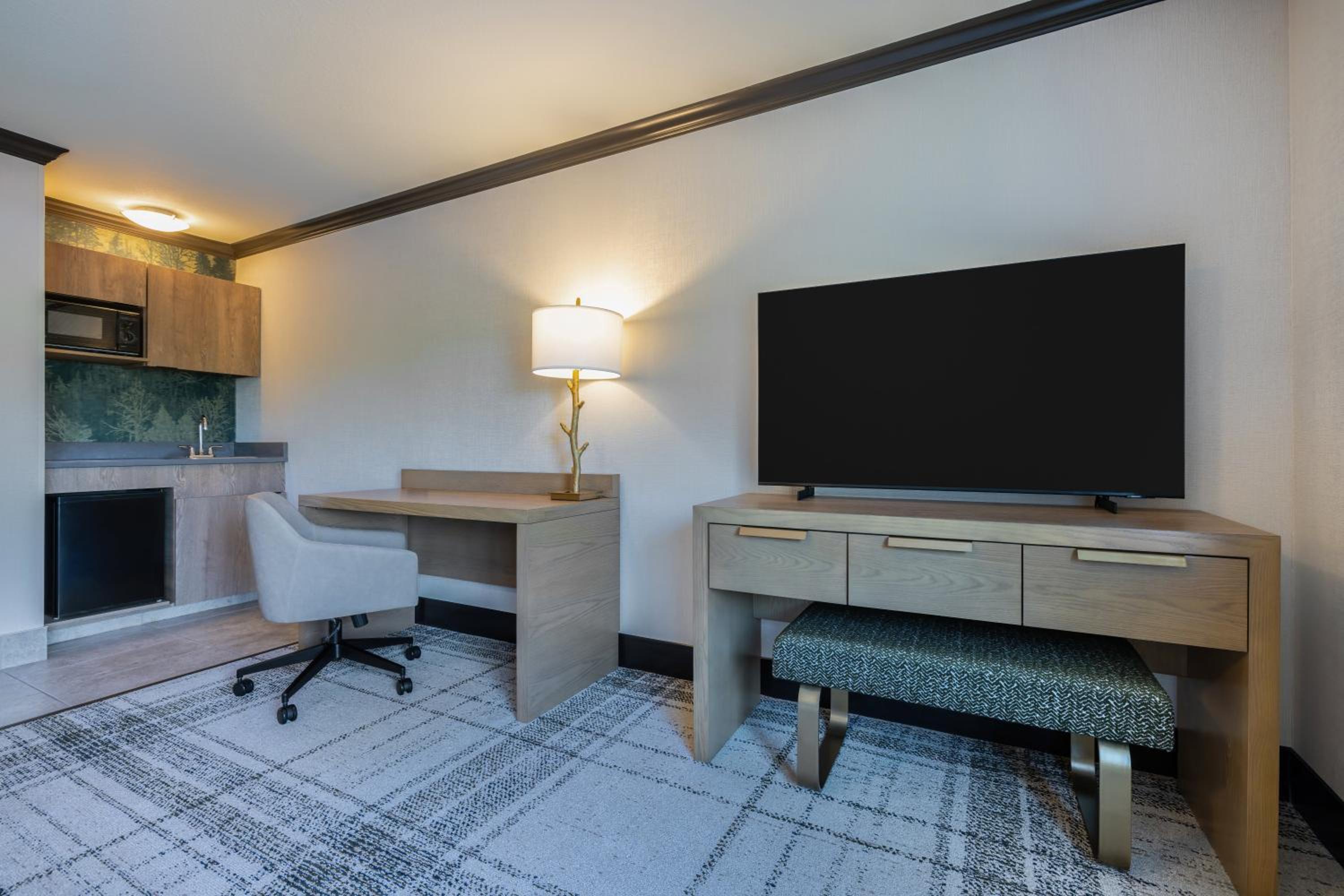 One-Bedroom King Suite - Photo 4
