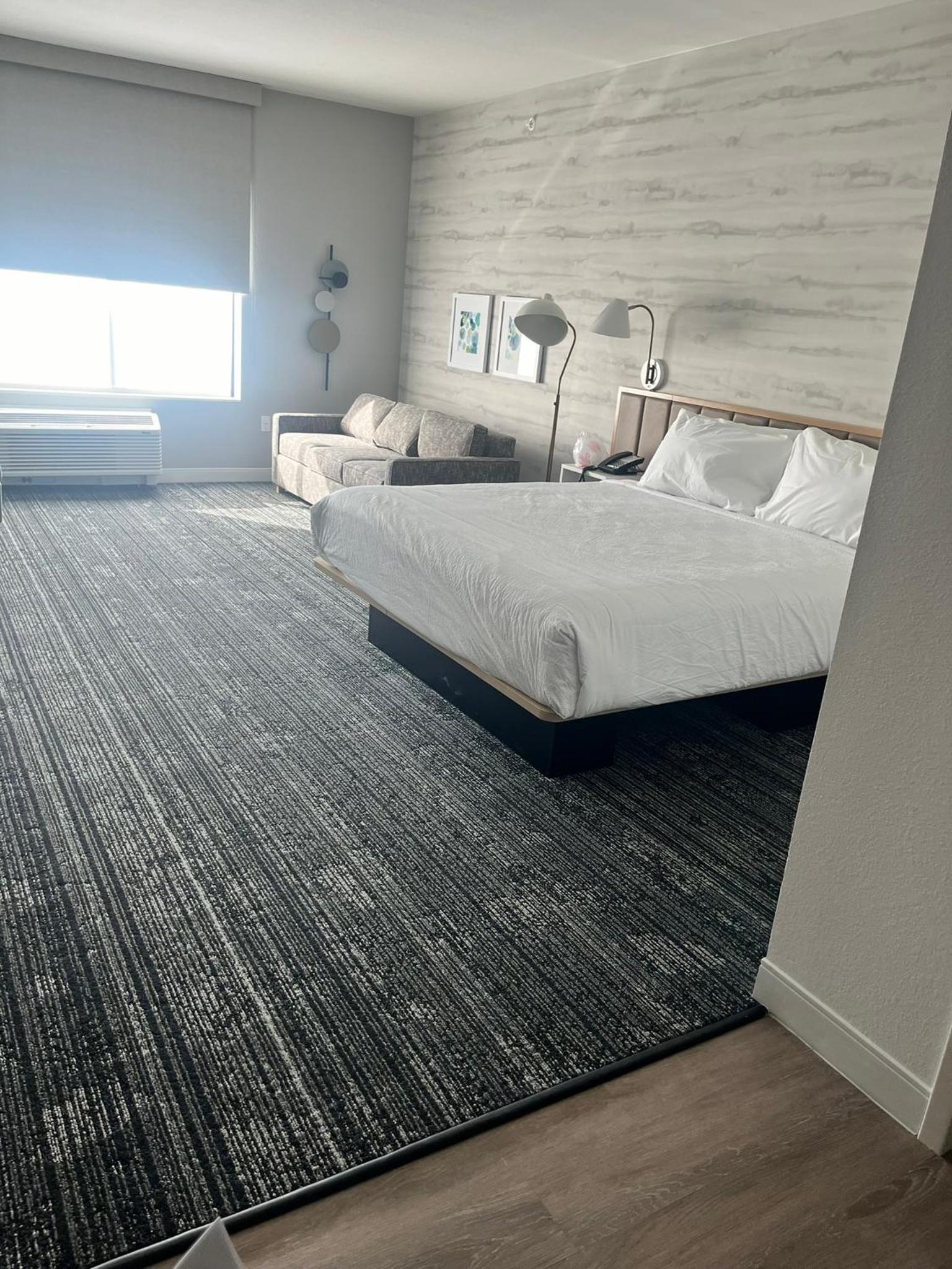 Deluxe King Suite photo 3