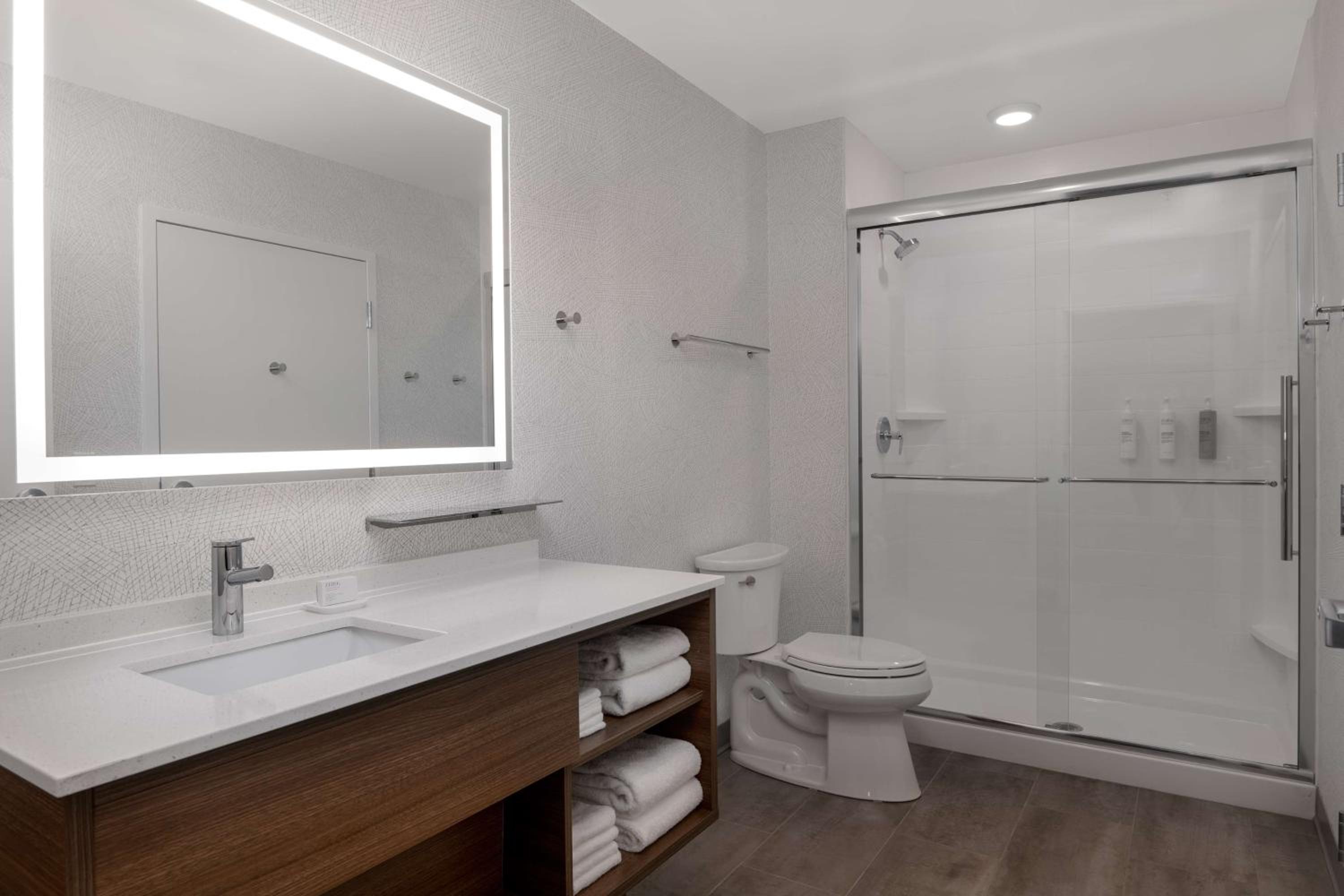 One-Bedroom King Suite photo 3