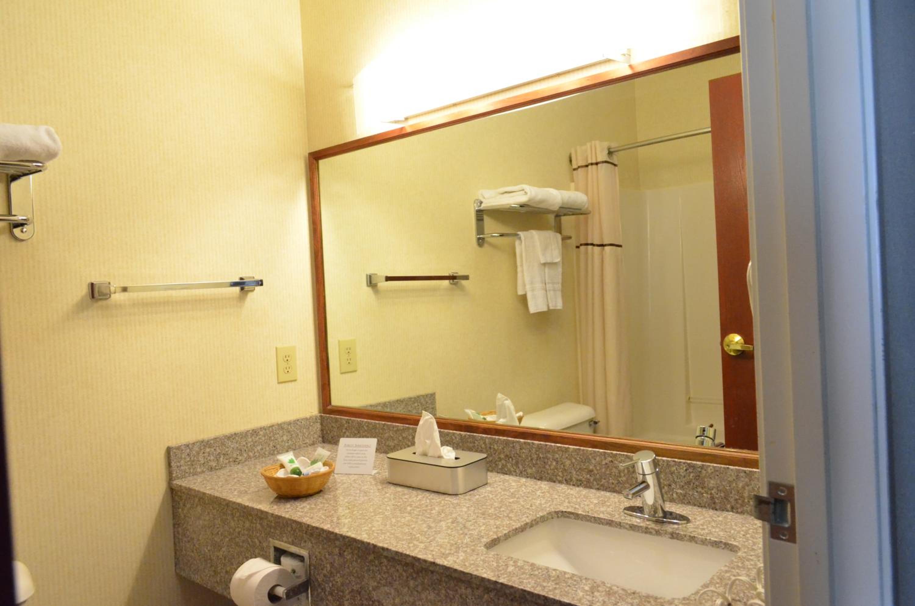 King Suite - Non-Smoking - Photo 8